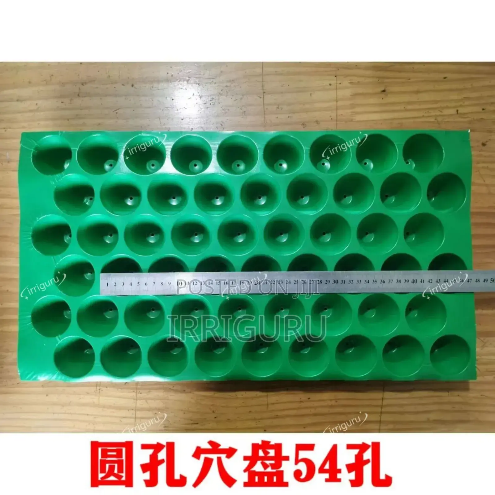 Seedling Trays All Holes