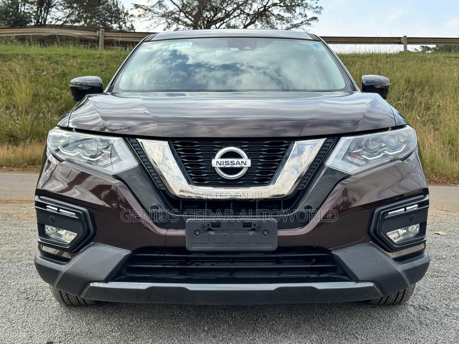 Nissan X-Trail 2017 Brown