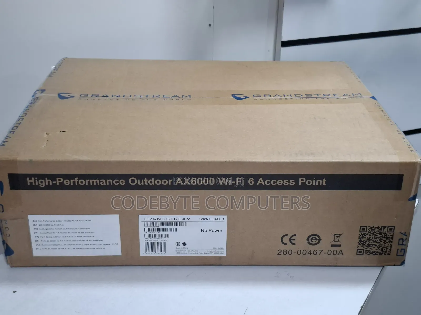 Grandstream Outdoor Wi-Fi 6 Access Point Gwn7664elr