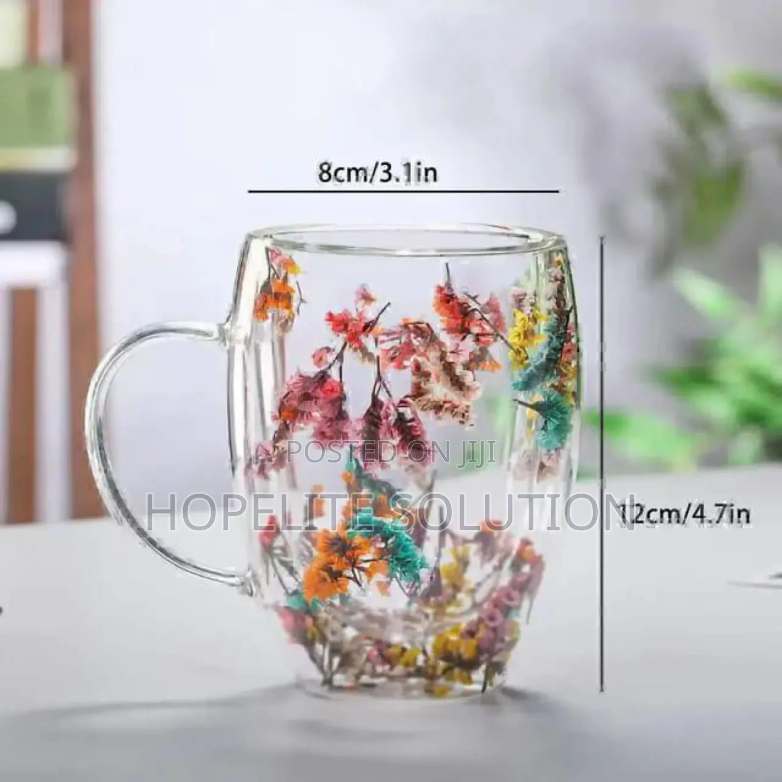 Insulated Double Walled Glass Cup