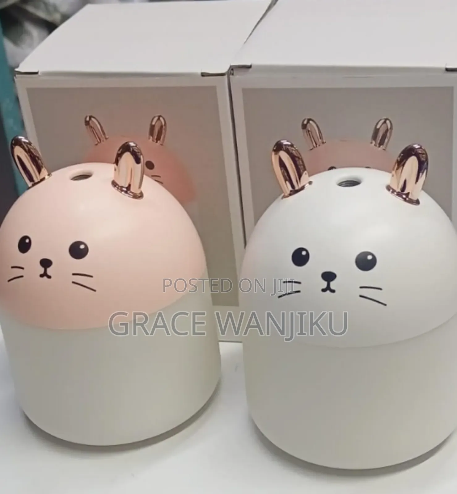 Rabbit Humidifier*