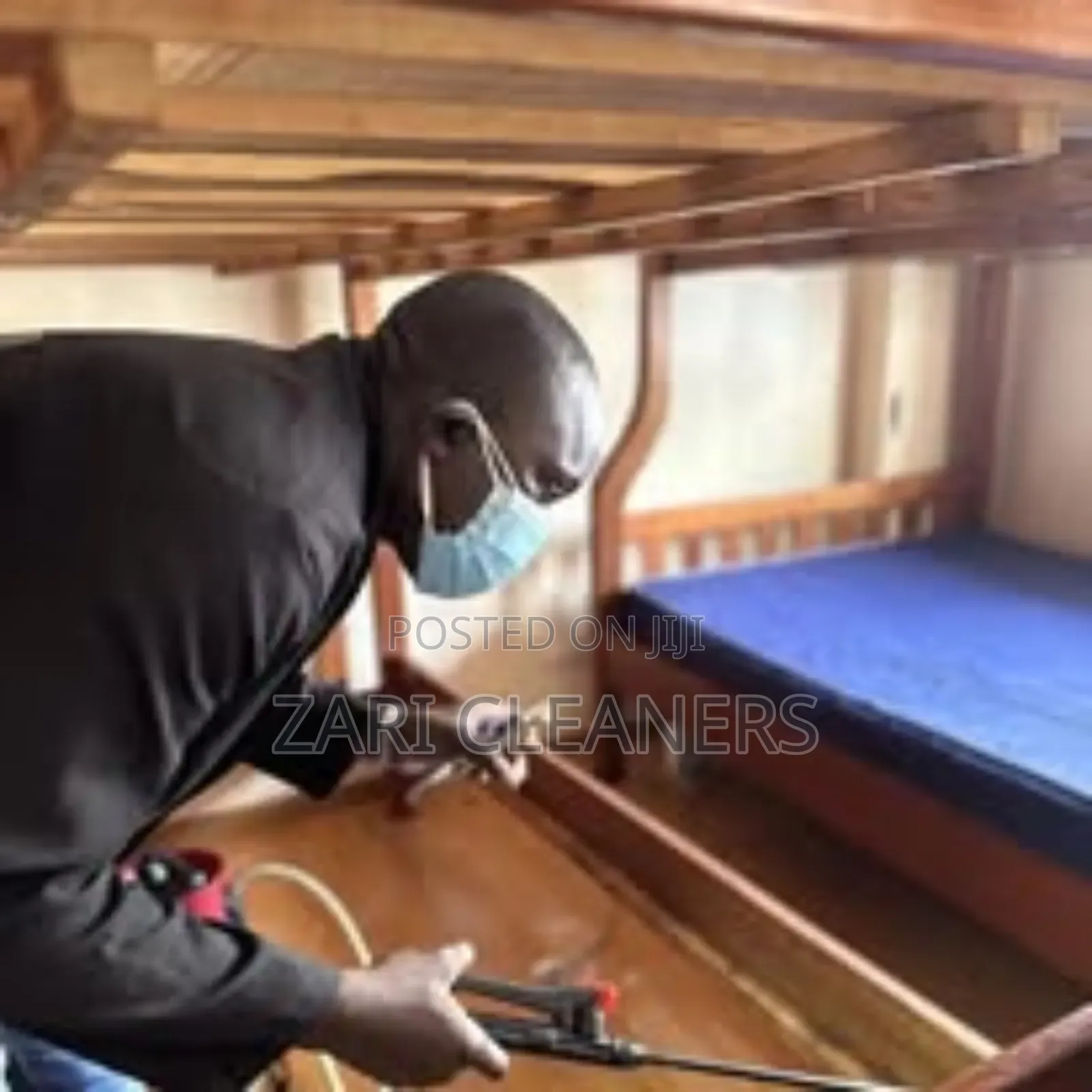 Evict Cocroaches Bedbugs to Protect Your Living Space
