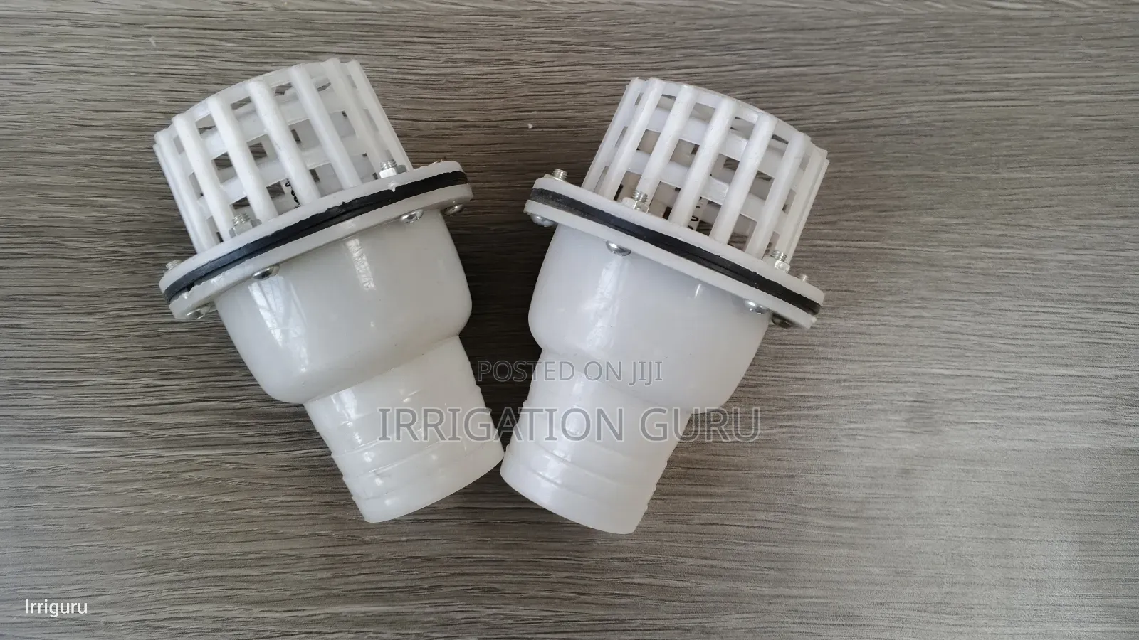 Check Valve With Strainer
