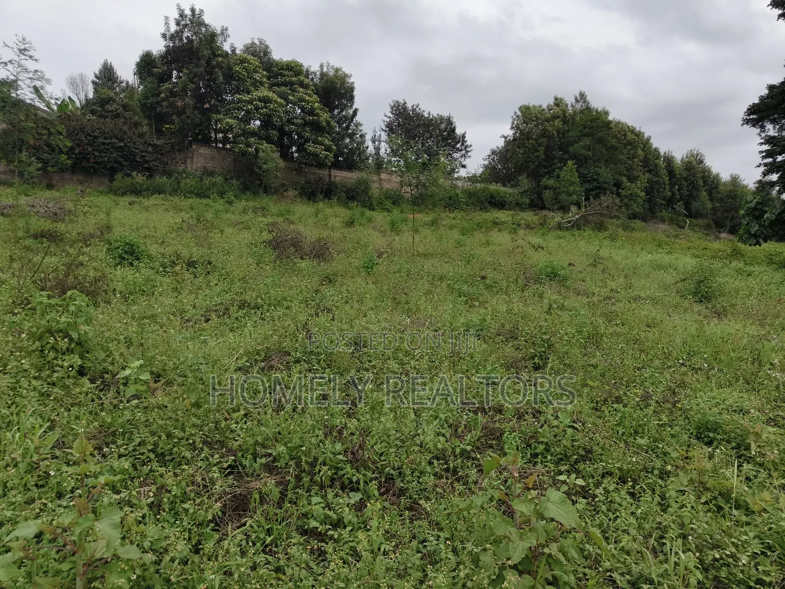 Eighth Acre Plot in Kerarapon Drive, Ngong 100m From Tarmac
