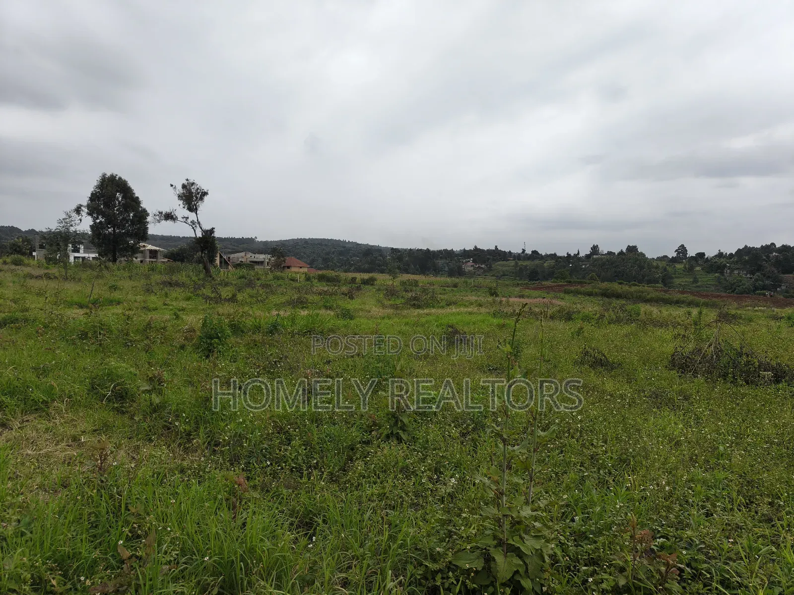 Quarter Acre Plot in Kerarapon Drive, Ngong 100m From Tarmac