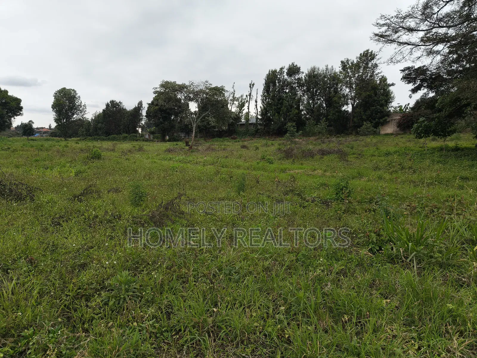 Quarter Acre Plot in Kerarapon Drive, Ngong 100m From Tarmac