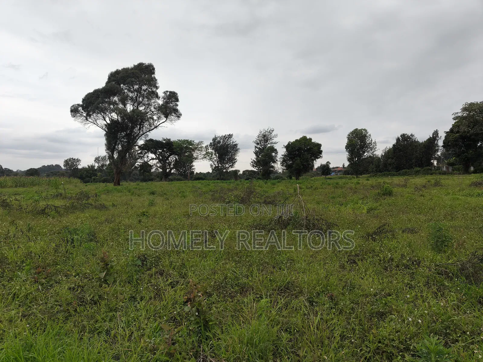 Quarter Acre Plot in Kerarapon Drive, Ngong 100m From Tarmac