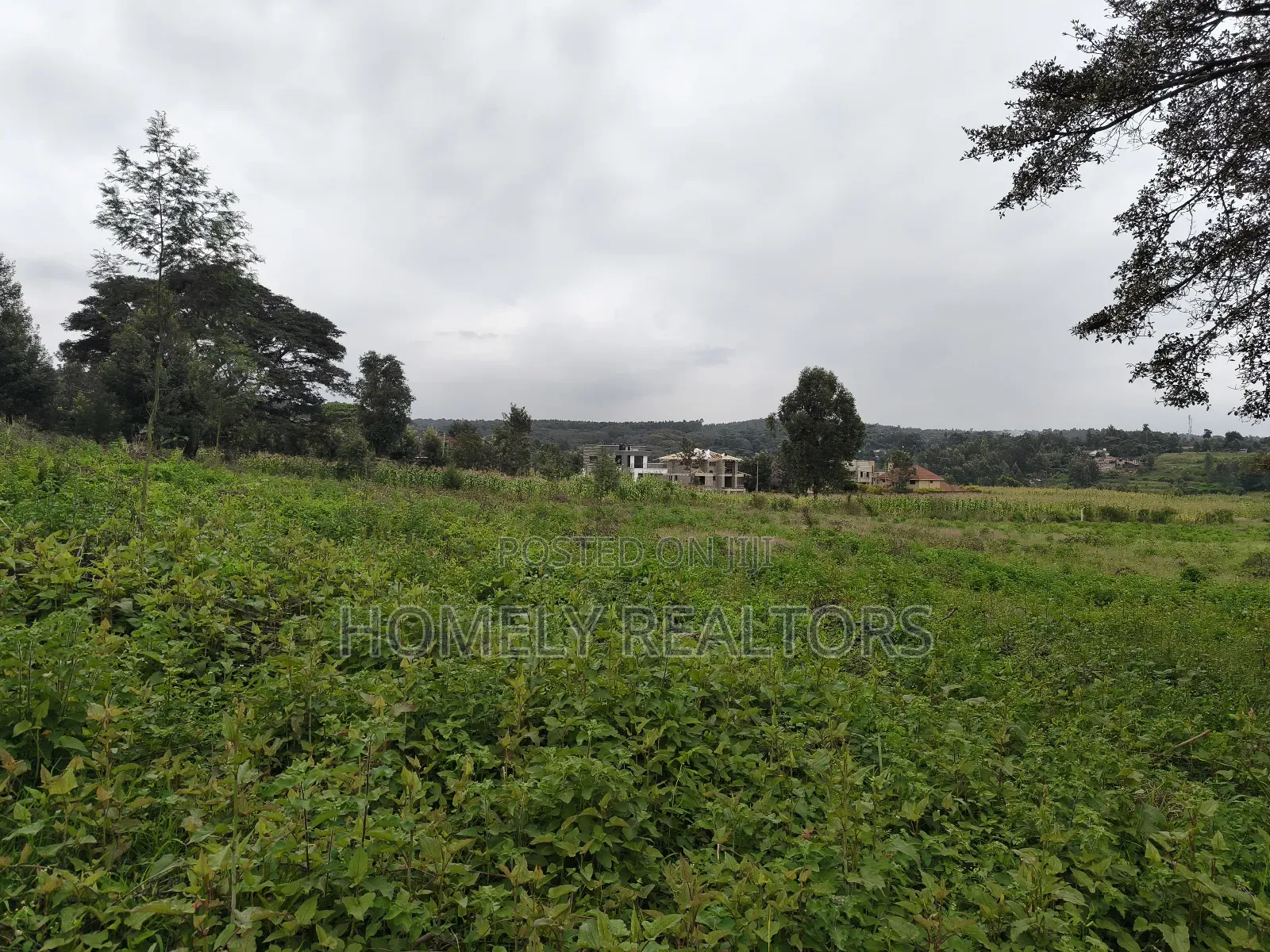 Half Acre Plot in Kerarapon Drive, Ngong 100m From Tarmac