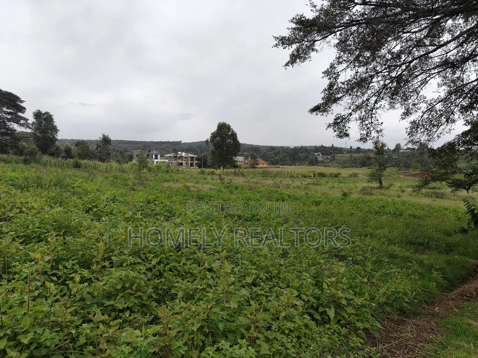 Half Acre Plot in Kerarapon Drive, Ngong 100m From Tarmac