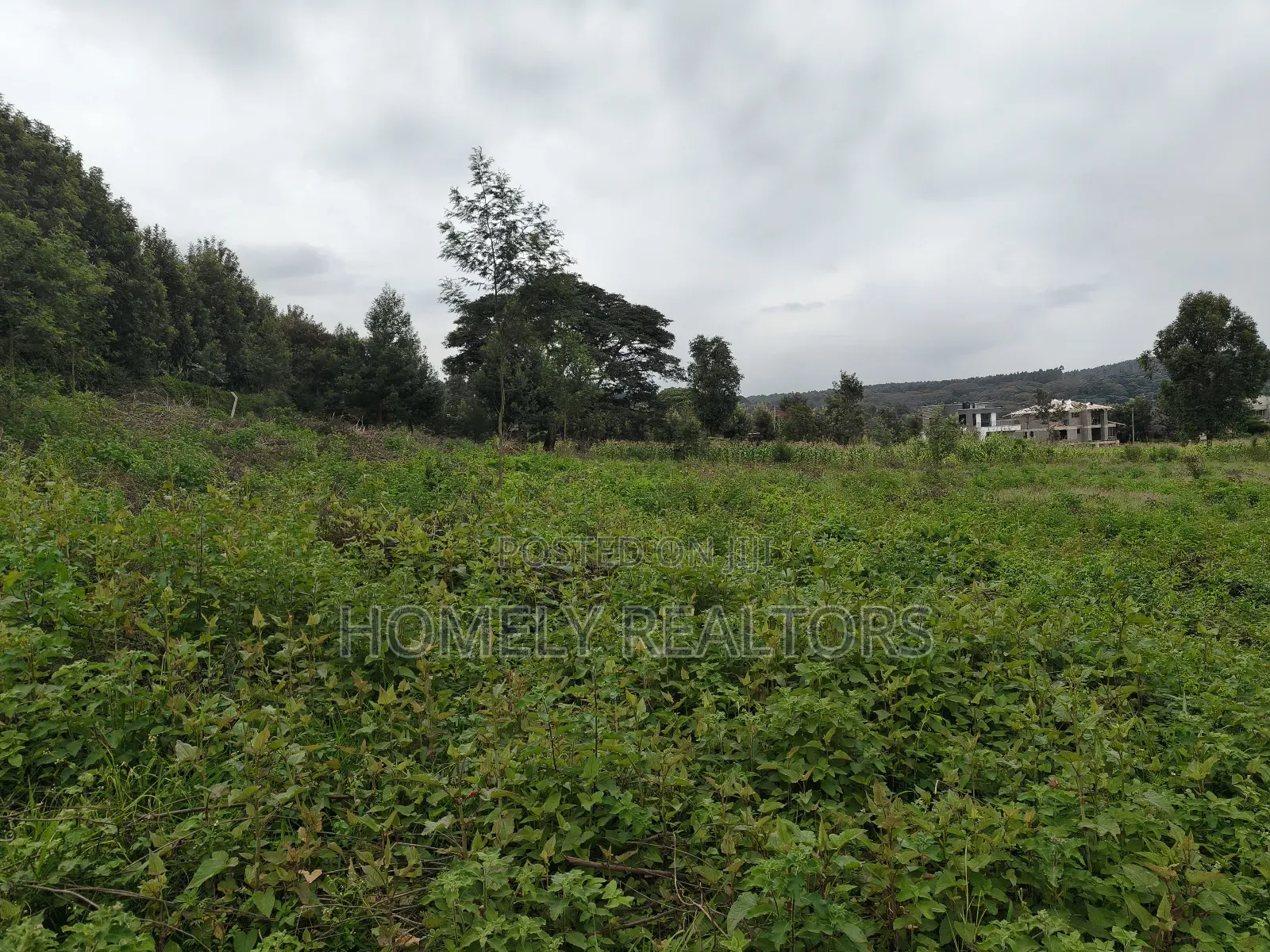 Half Acre Plot in Kerarapon Drive, Ngong 100m From Tarmac