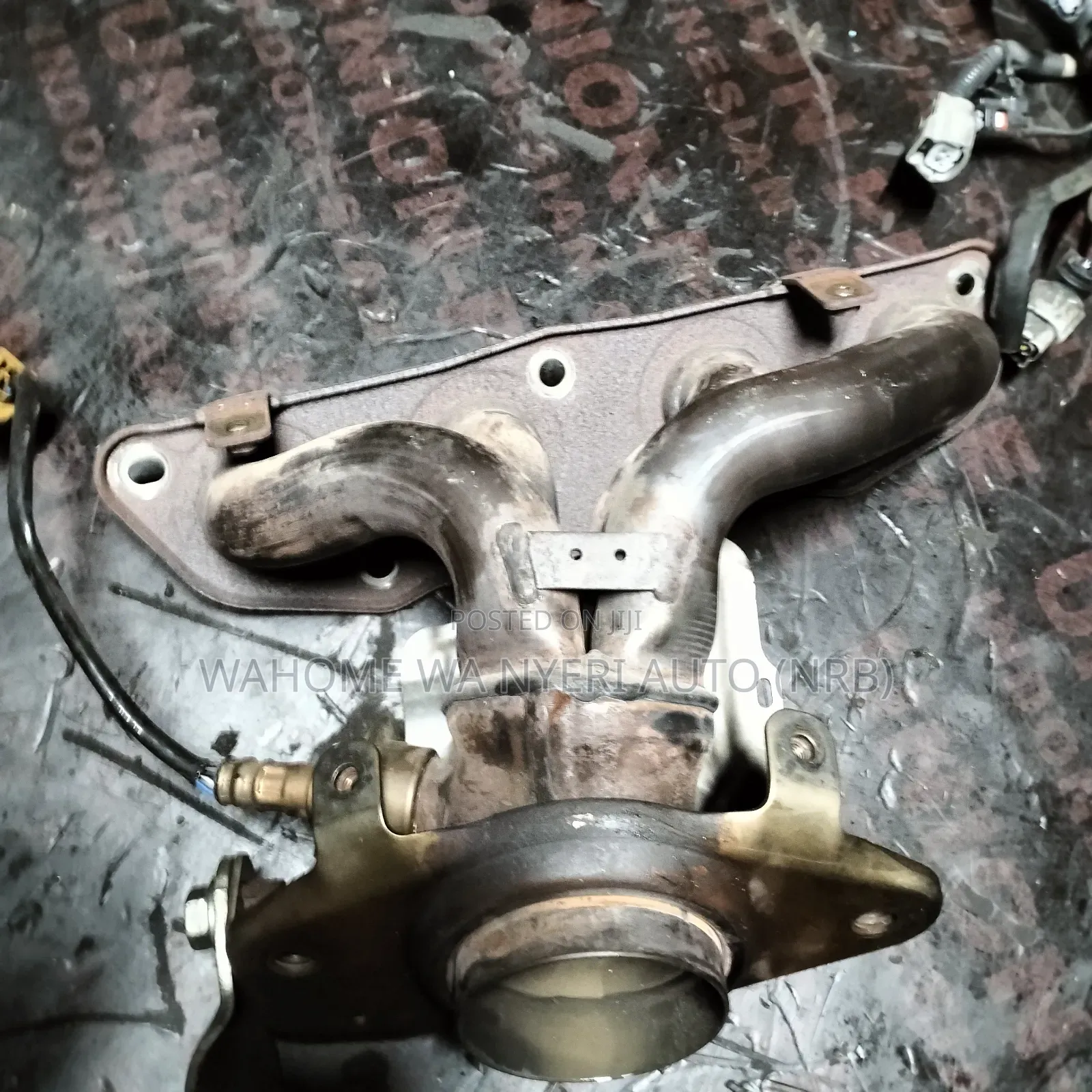Exhaust Manifold Nissan Juke Hr15