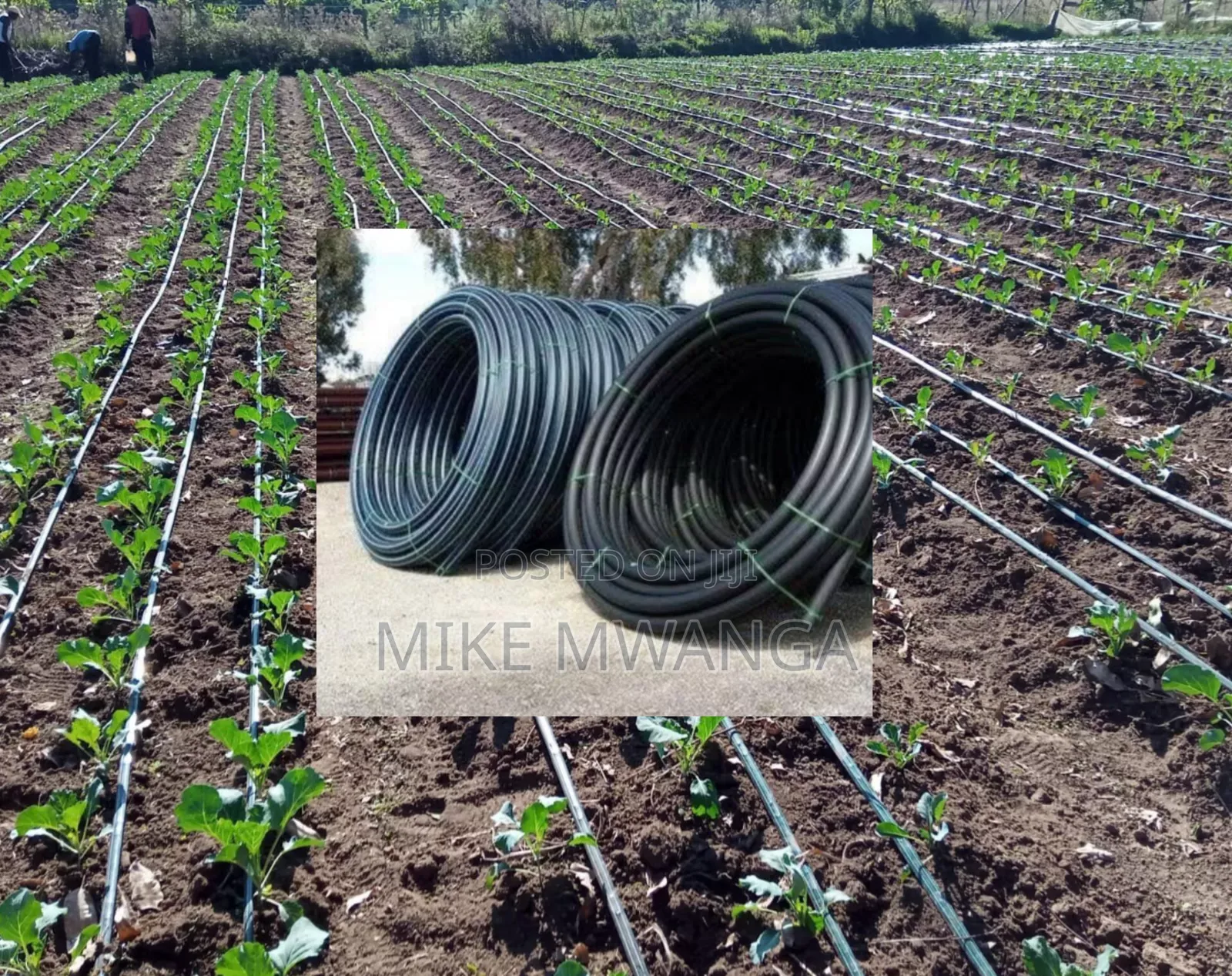 Irrigation Pipes