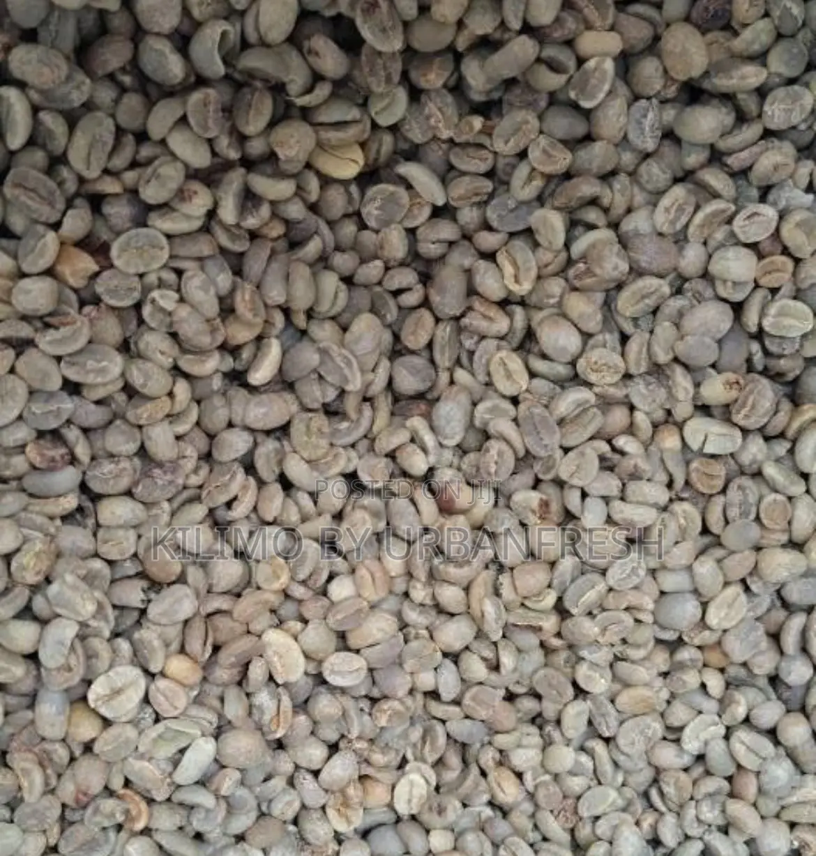 Coffee Beans