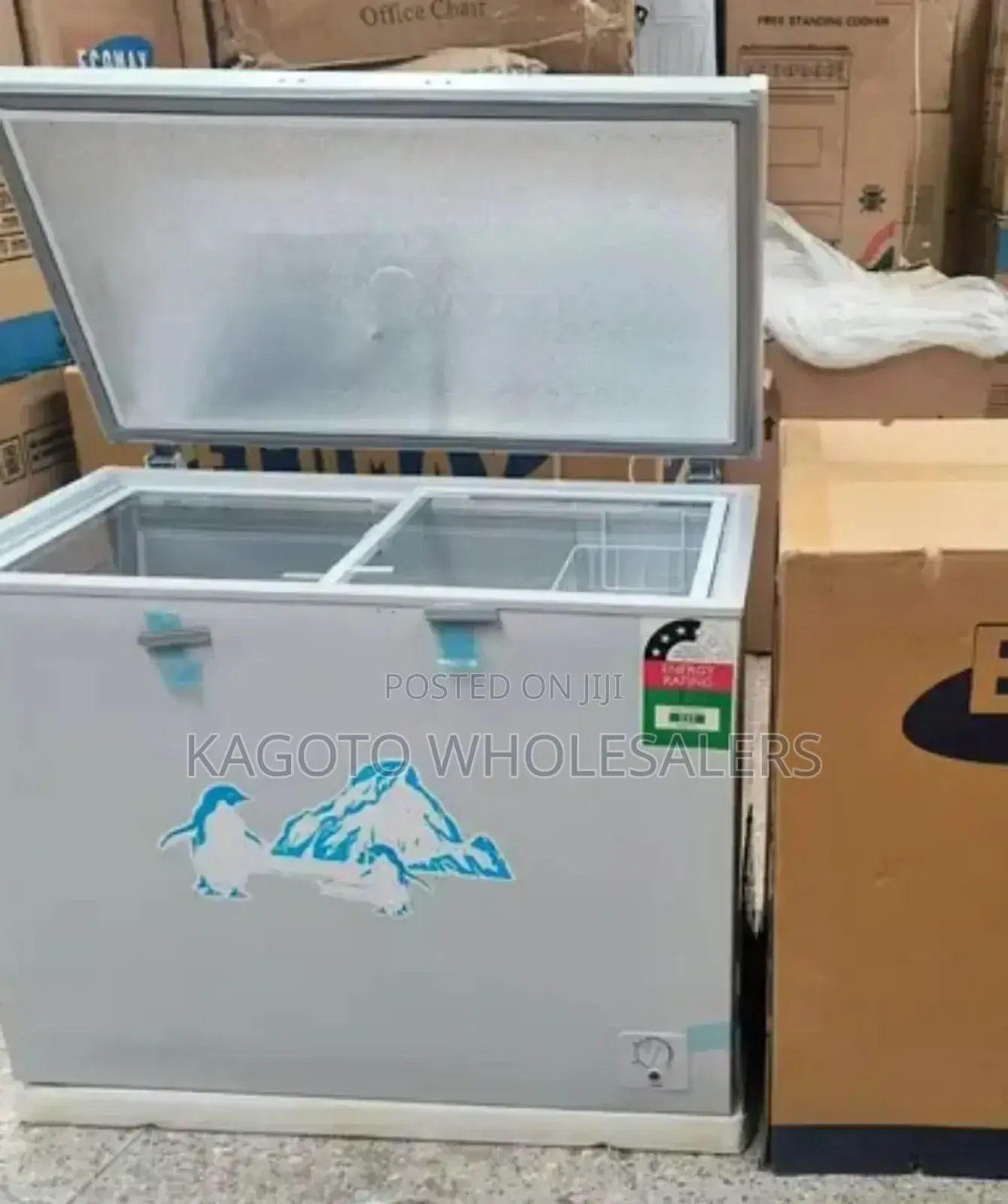 Ecomax 219litres Chest Deep Freezer (White) E/219lf