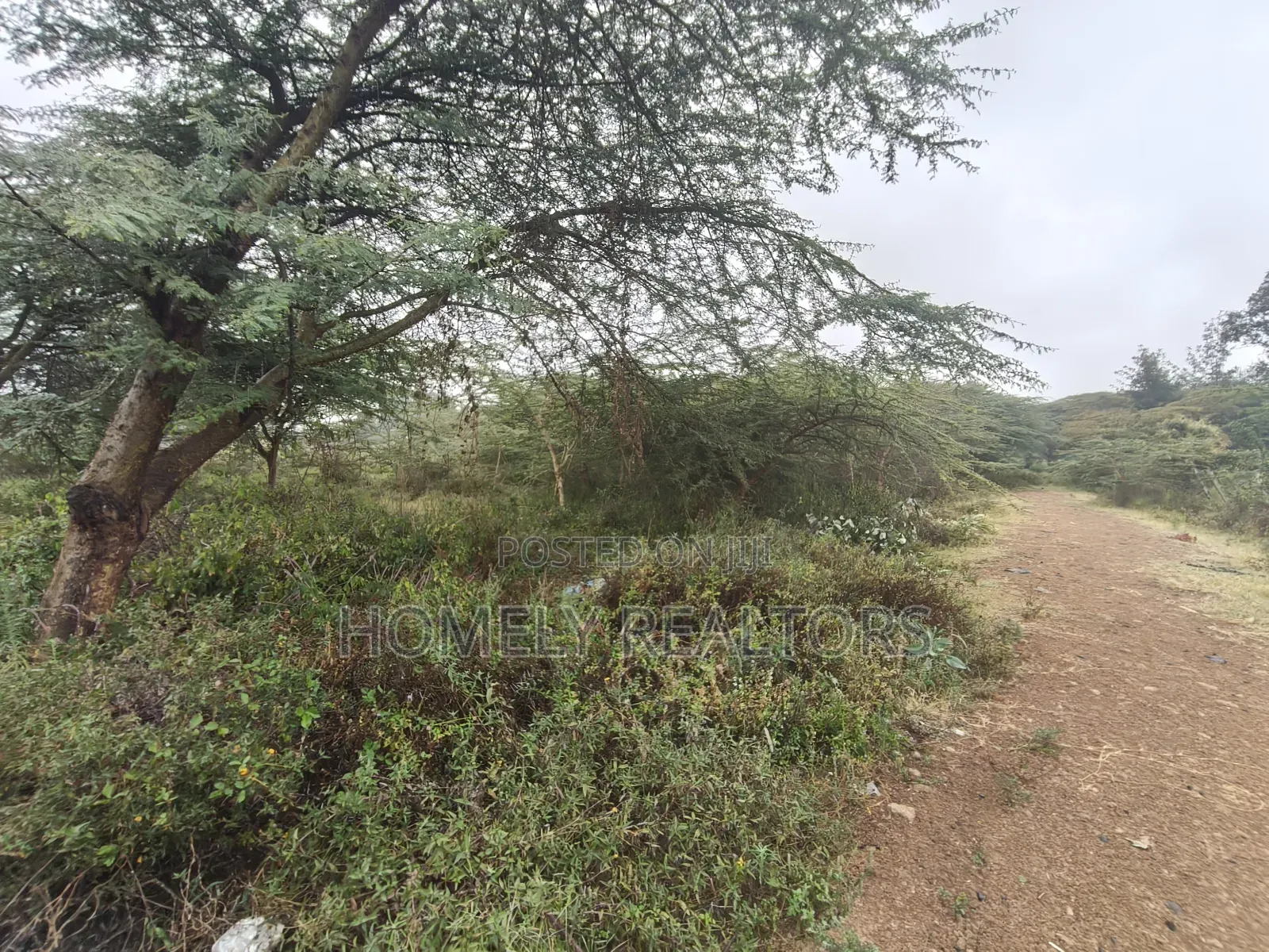 Residential Eighth Acre Estate Plot in Ongata Rongai, Rimpa