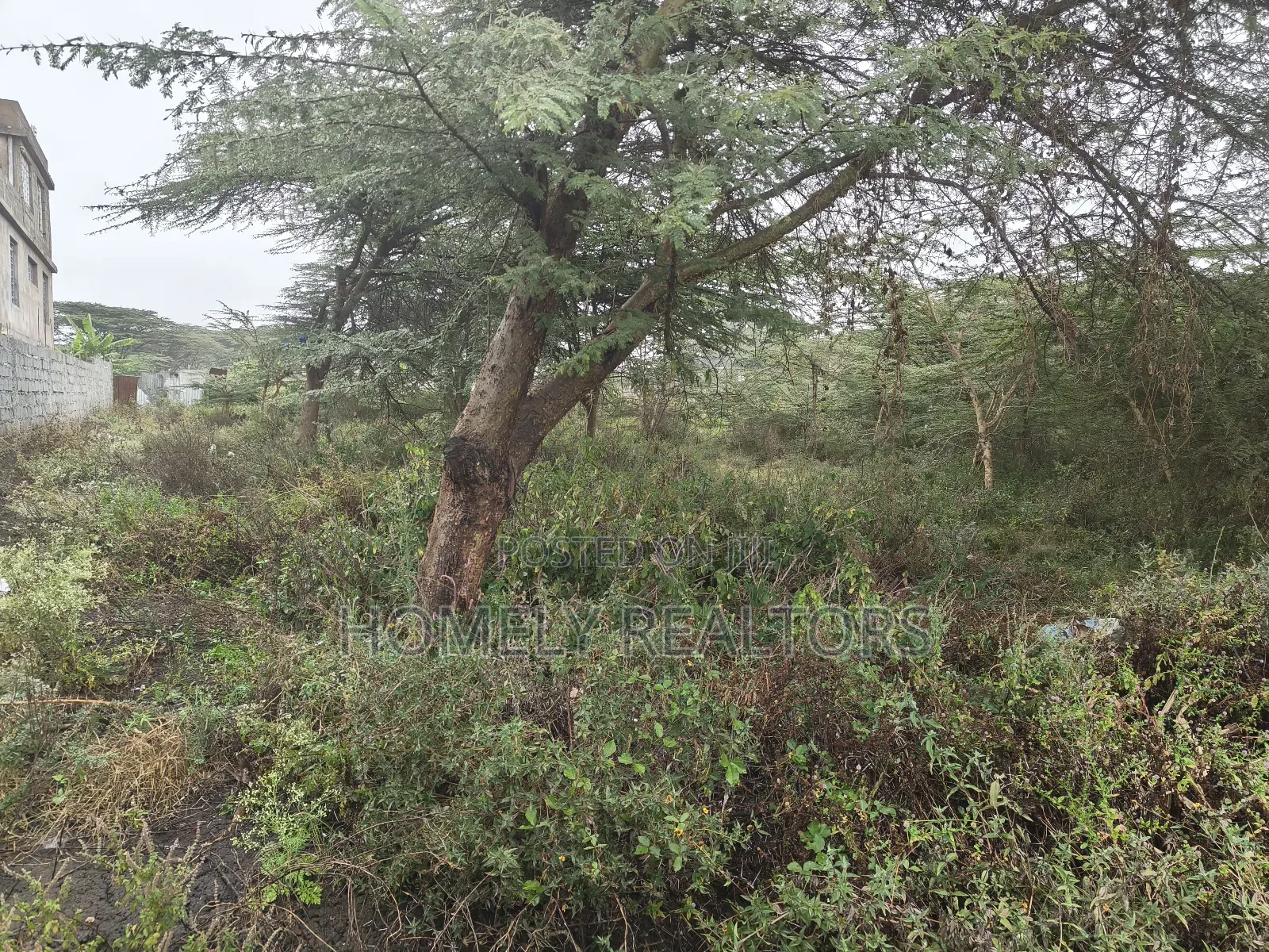Residential Eighth Acre Estate Plot in Ongata Rongai, Rimpa