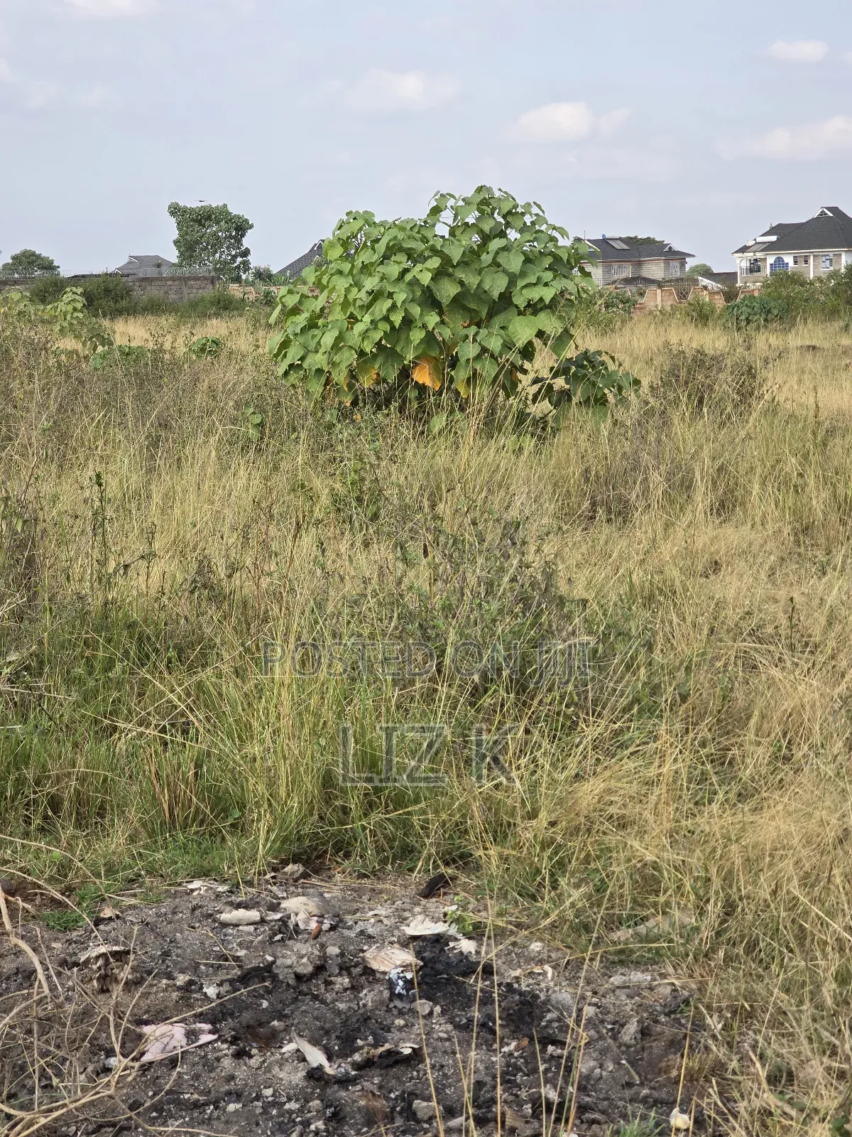 40x80 Plots in Tola Estate(Ngoingwa)