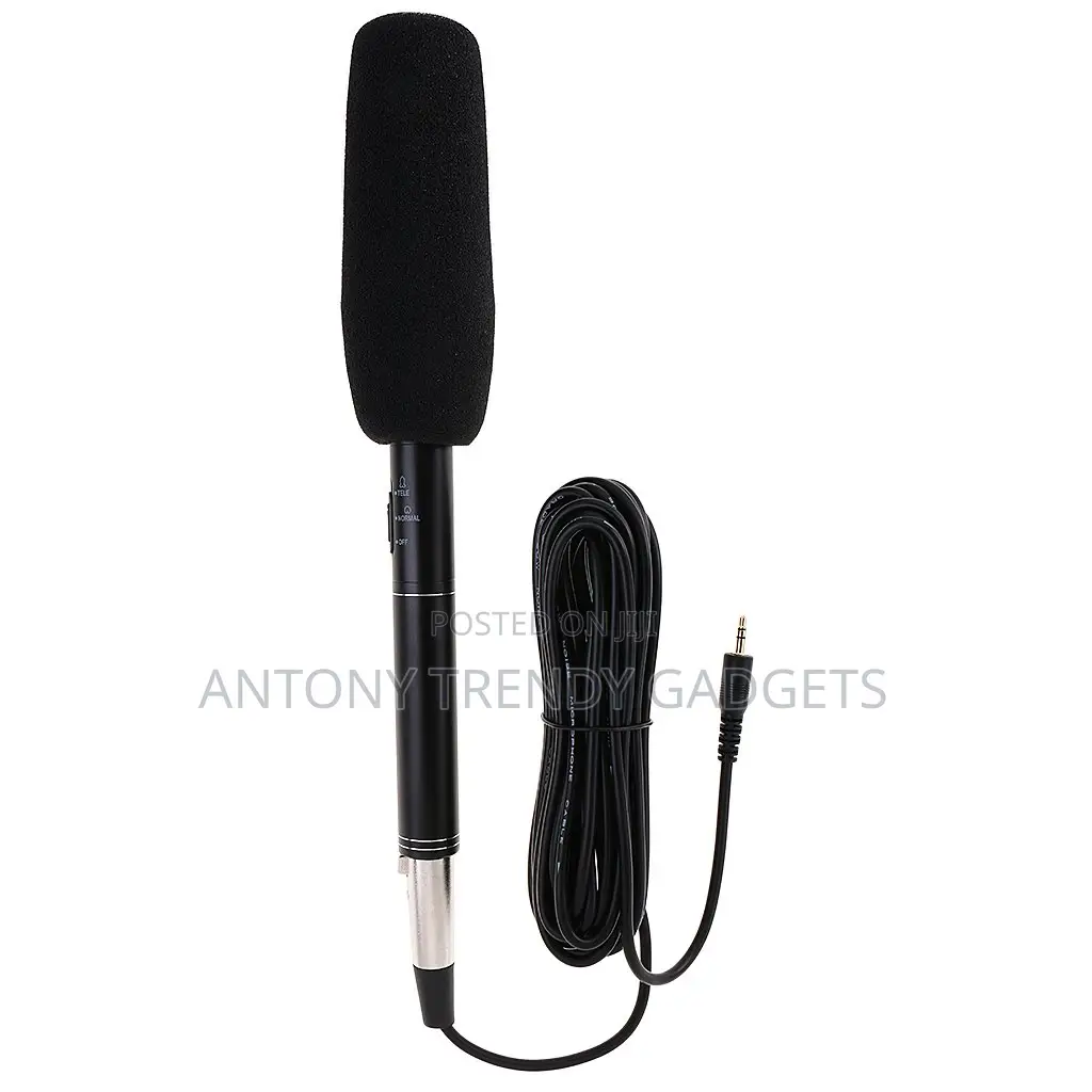 Panasonic External Mic – Super Directional Sound Pickup
