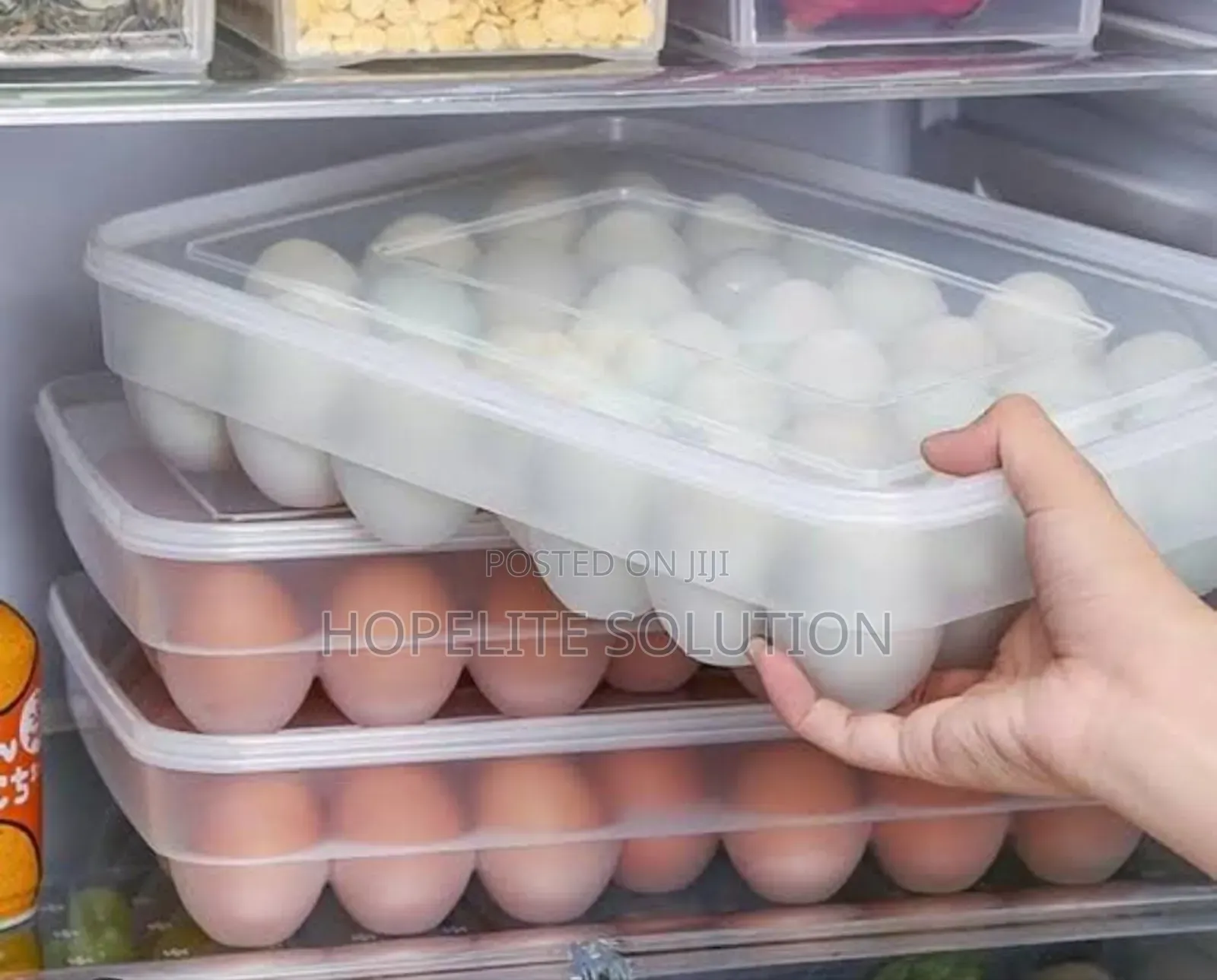 34 Egg Tray With Alid