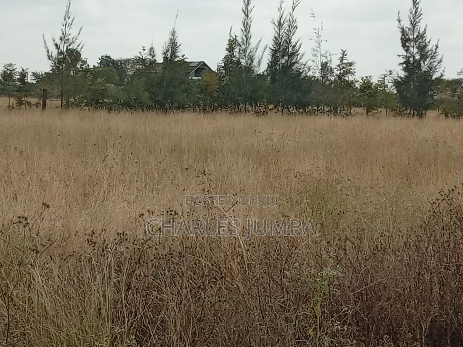 Kag Plot in Korompoi