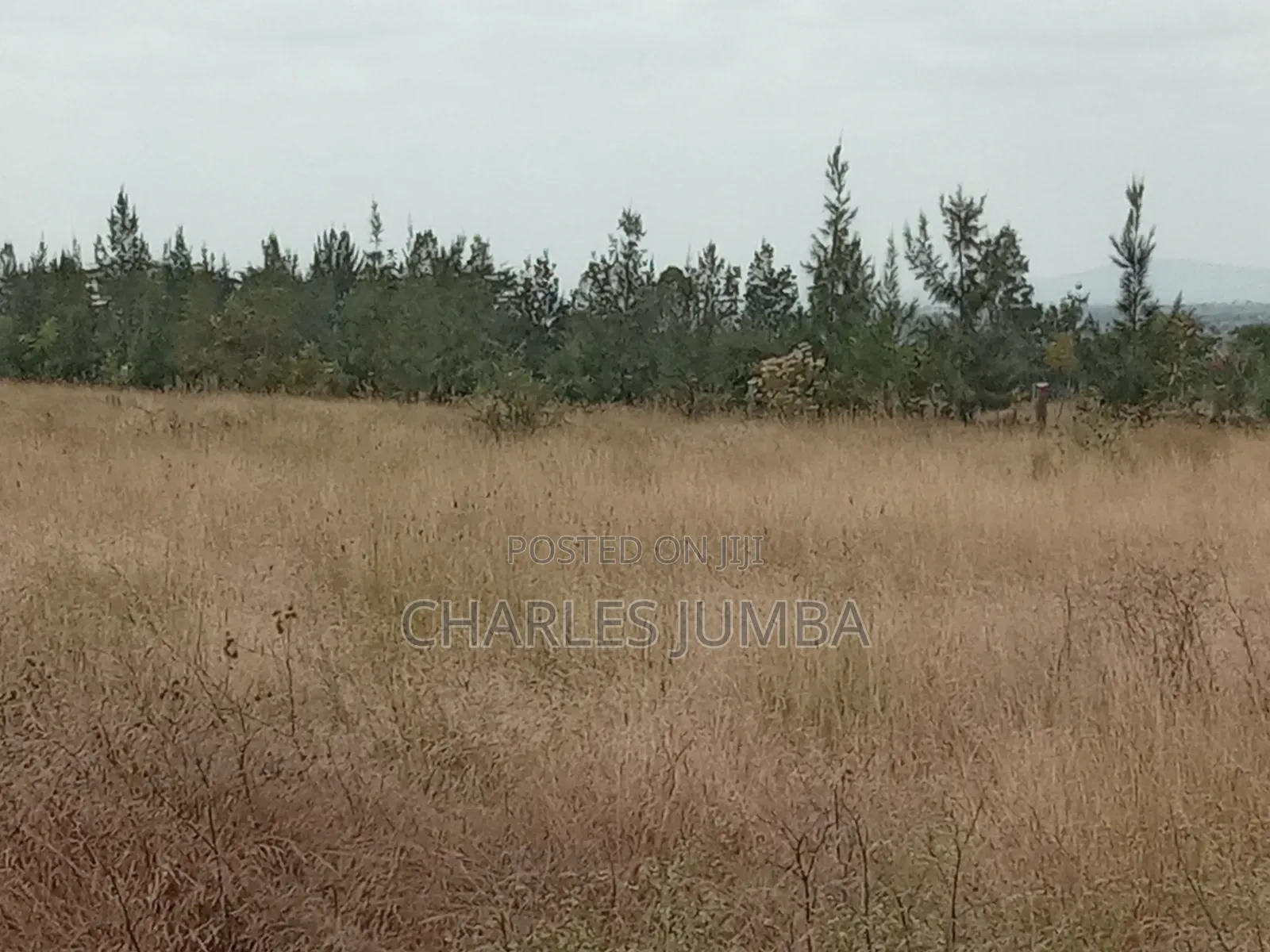 Kag Plot in Korompoi