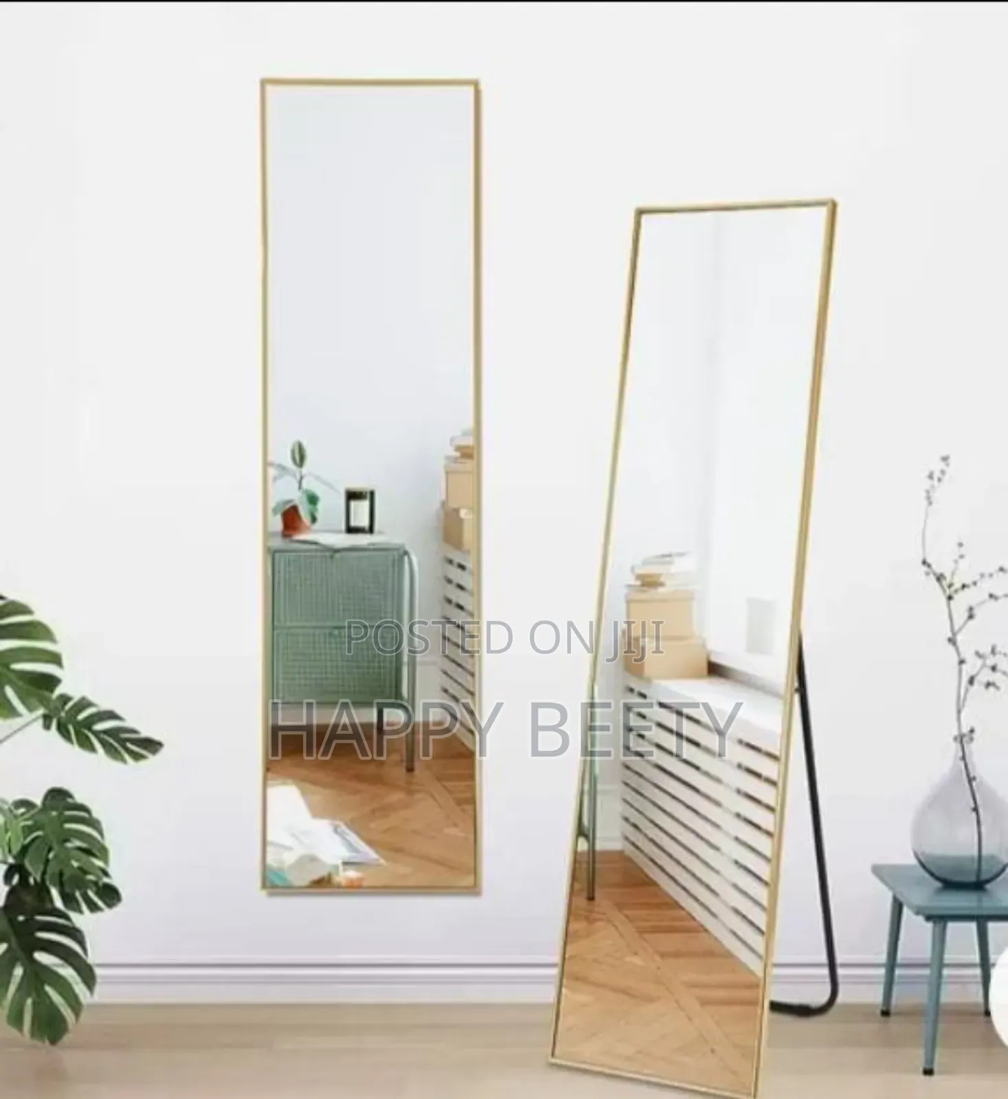 Full Length Mirror