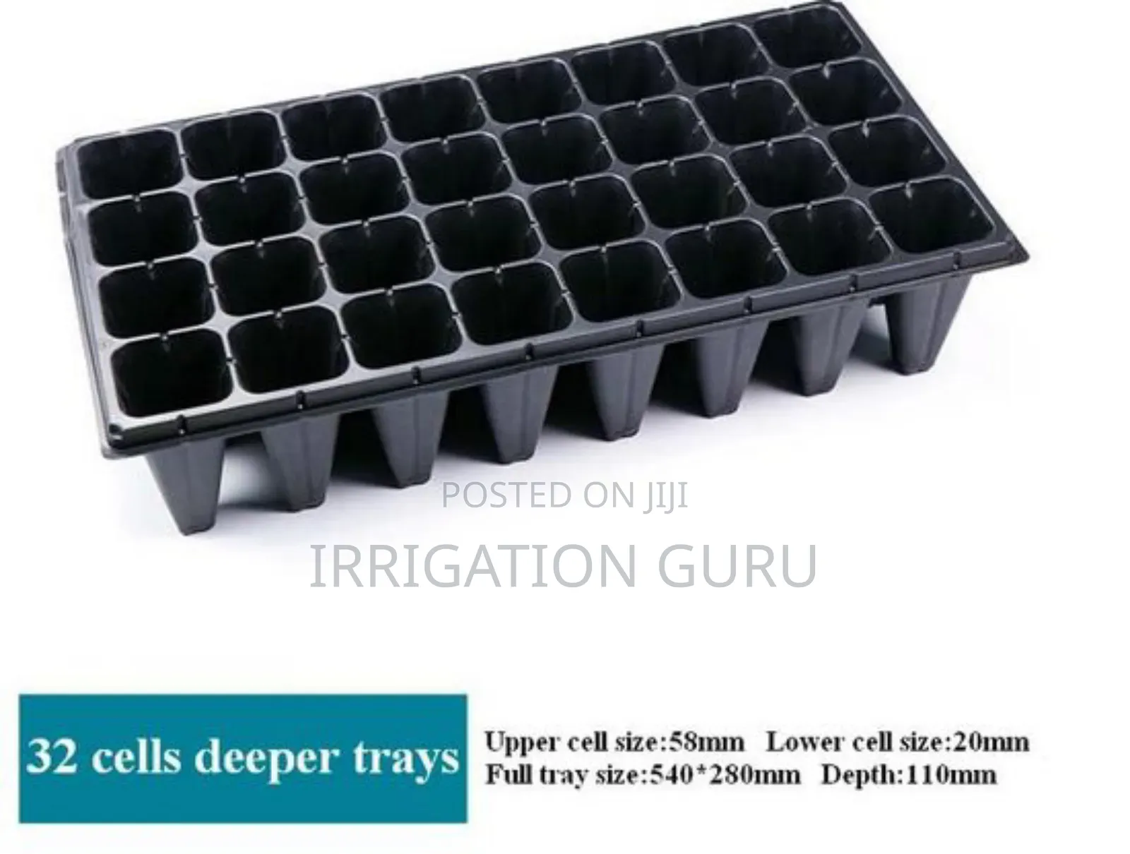 Plug Trays