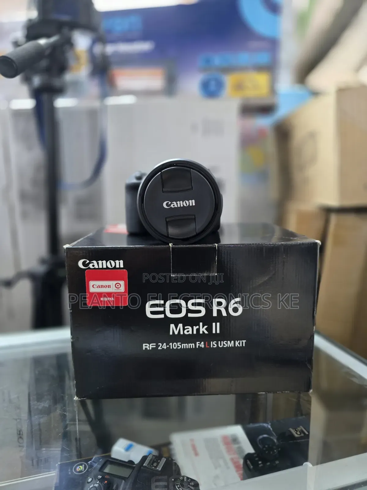 Canon Eos R6 Markii Camera 24-105mm F/4 Lens