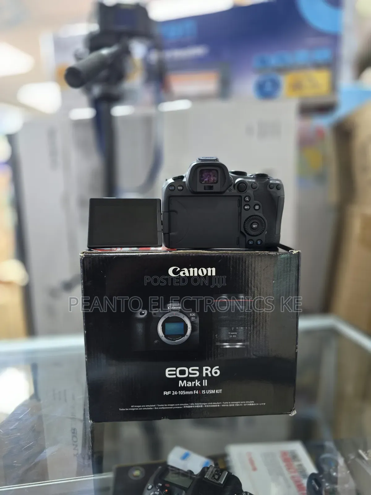 Canon Eos R6 Markii Camera 24-105mm F/4 Lens