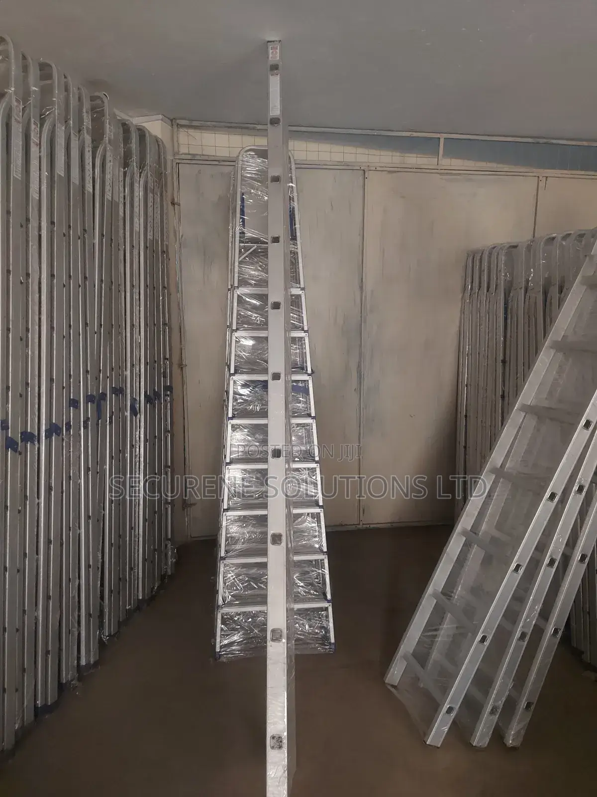 10-Step Aluminum Ladder.
