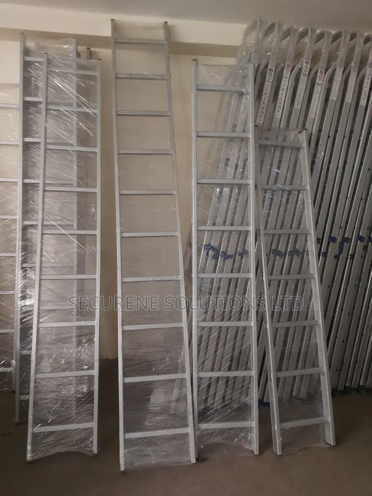 10-Step Aluminum Ladder.