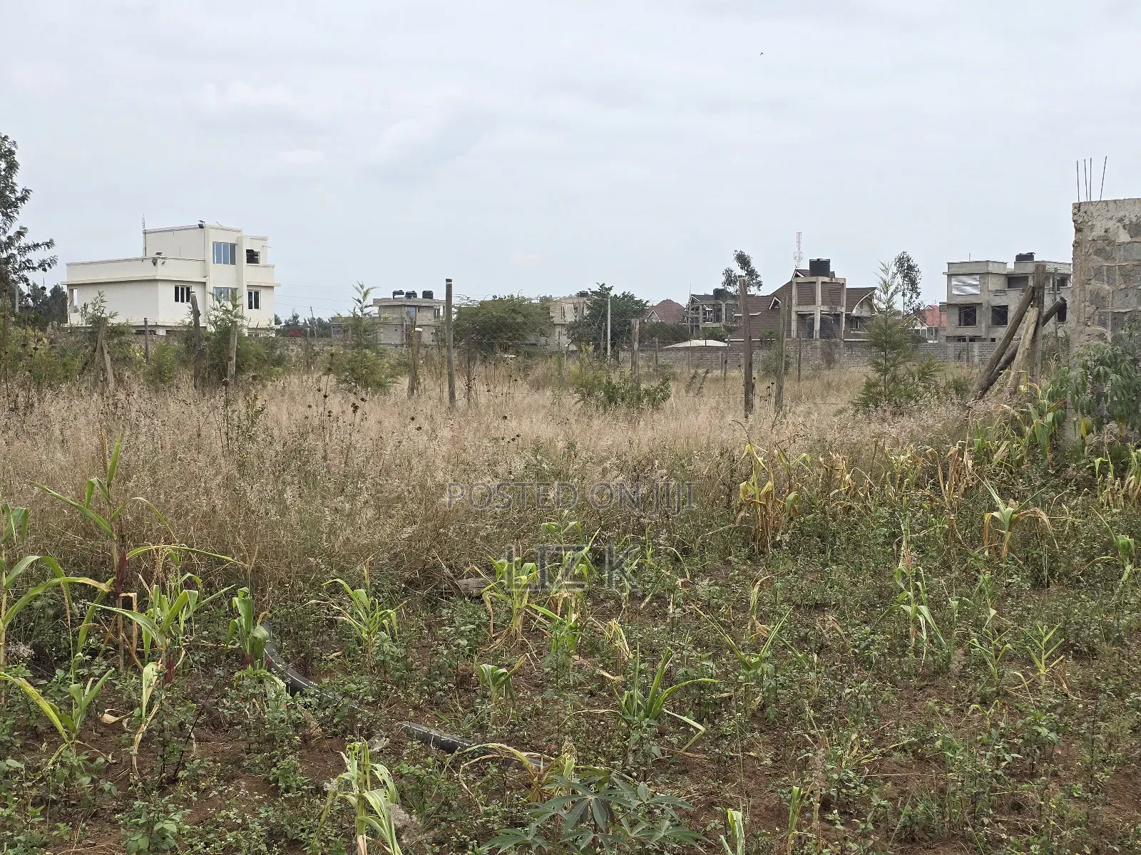 50x100 Residential Plot in Kenyatta Rd,Croton