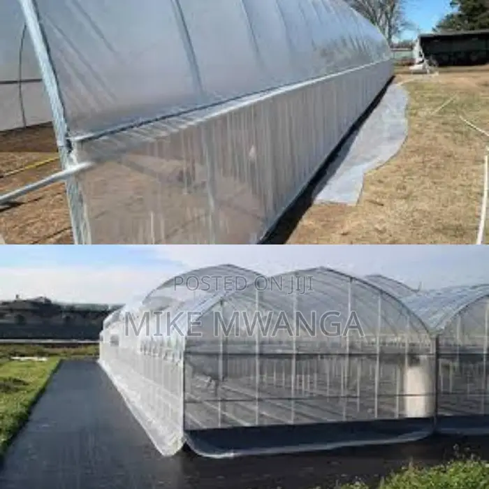 Chemical-Safe Hdpe Greenhouse Insect Netting (2.5m X 50m)
