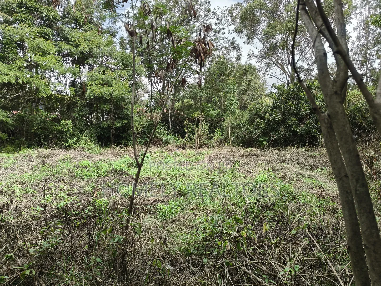 Quarter Acre Plot for Sale in Ngong, Vet Olepolos Road
