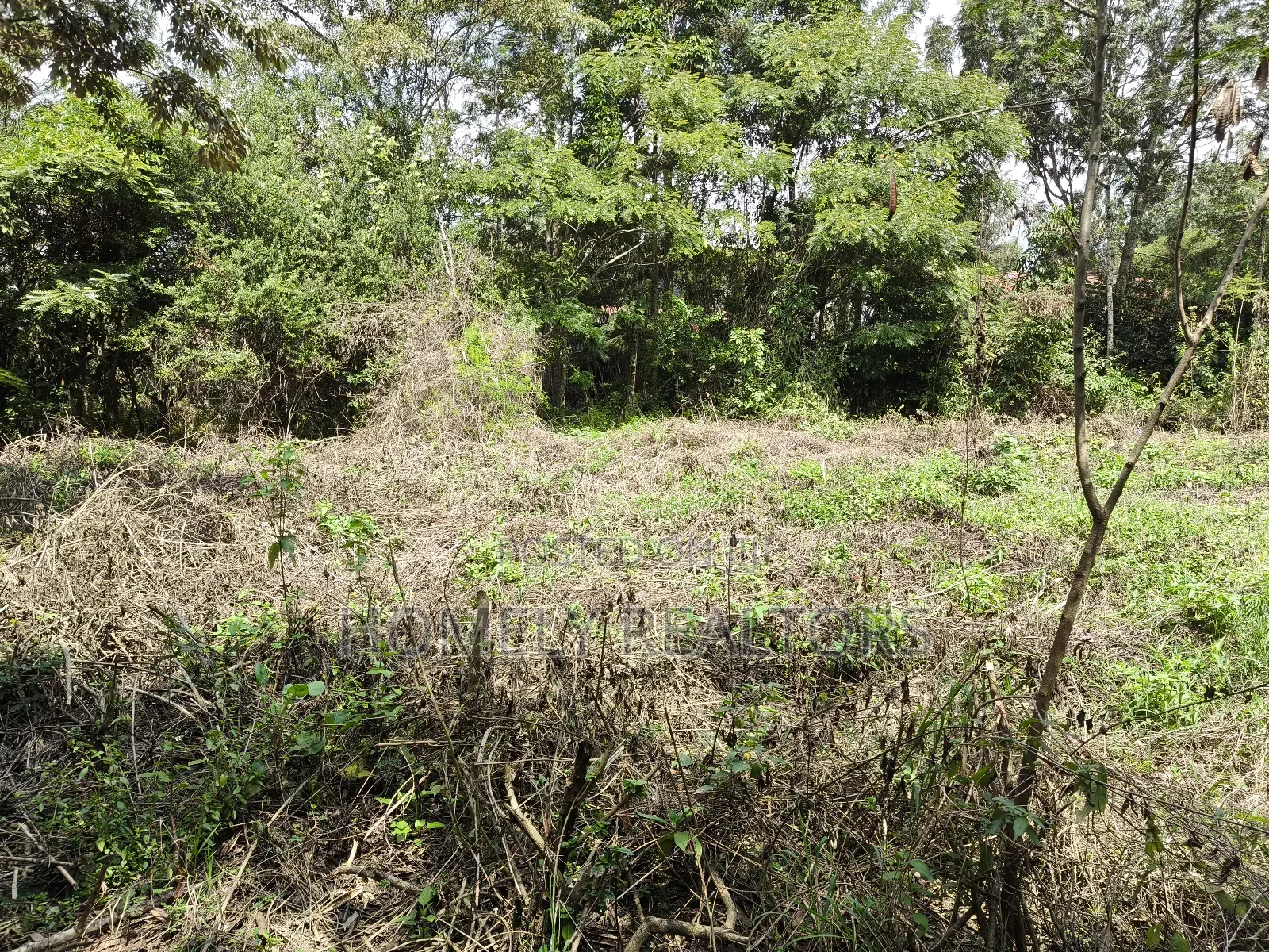 Quarter Acre Plot for Sale in Ngong, Vet Olepolos Road