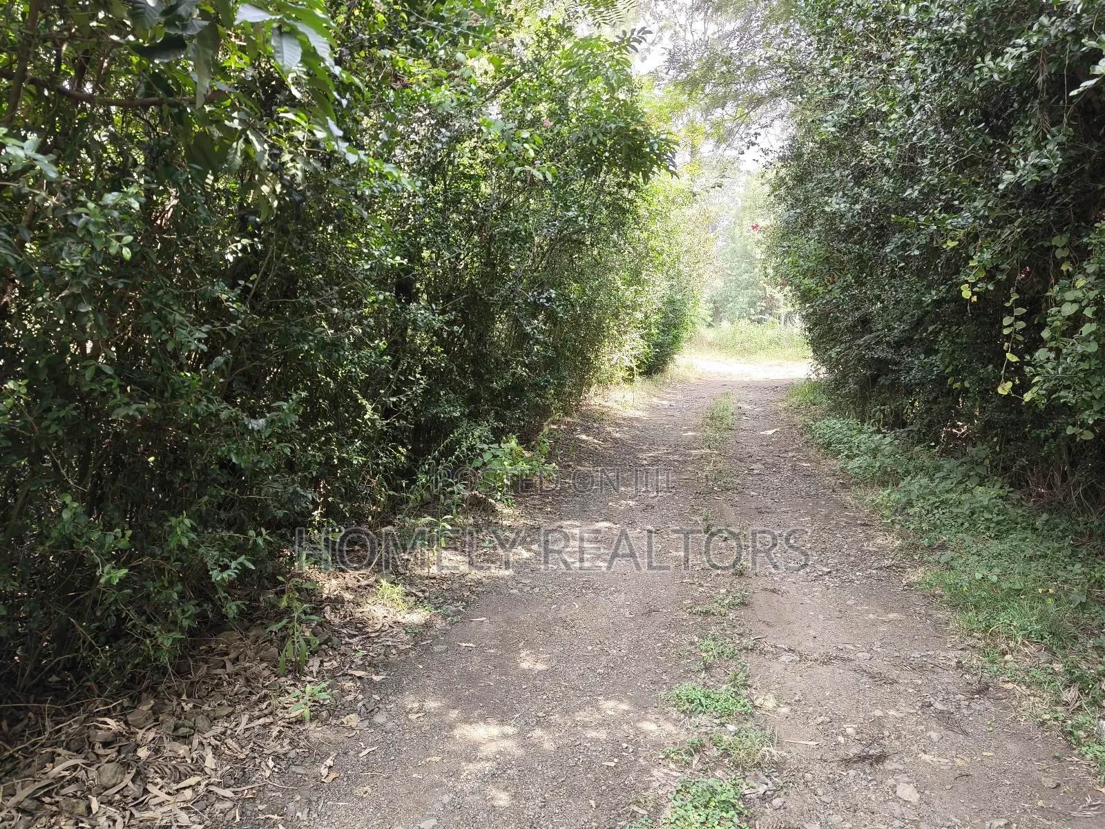 Quarter Acre Plot for Sale in Ngong, Vet Olepolos Road