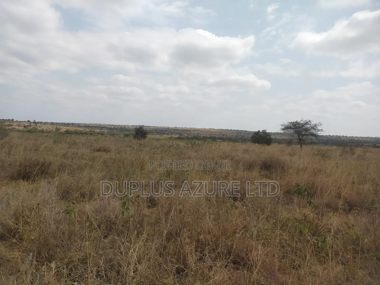 13-Acres Next to a Commercial Farm in Kajiado~Mashuru