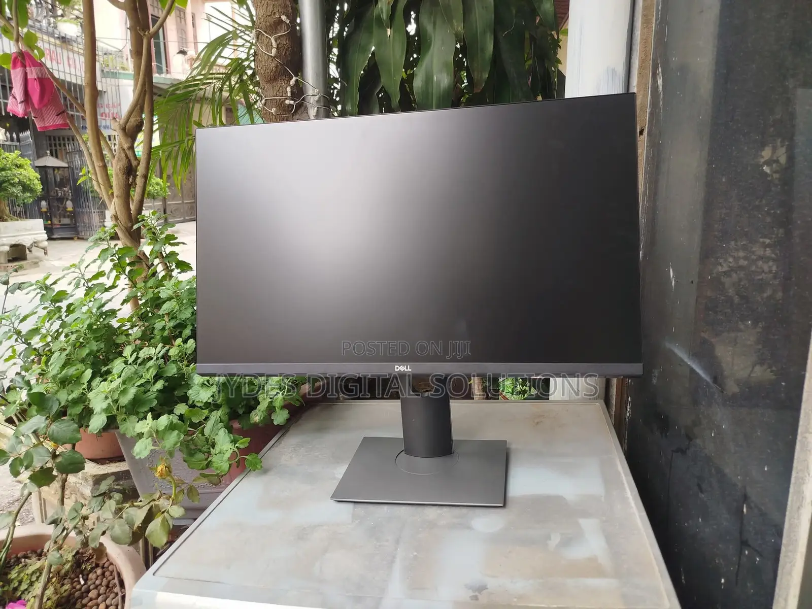 Dell Monitor