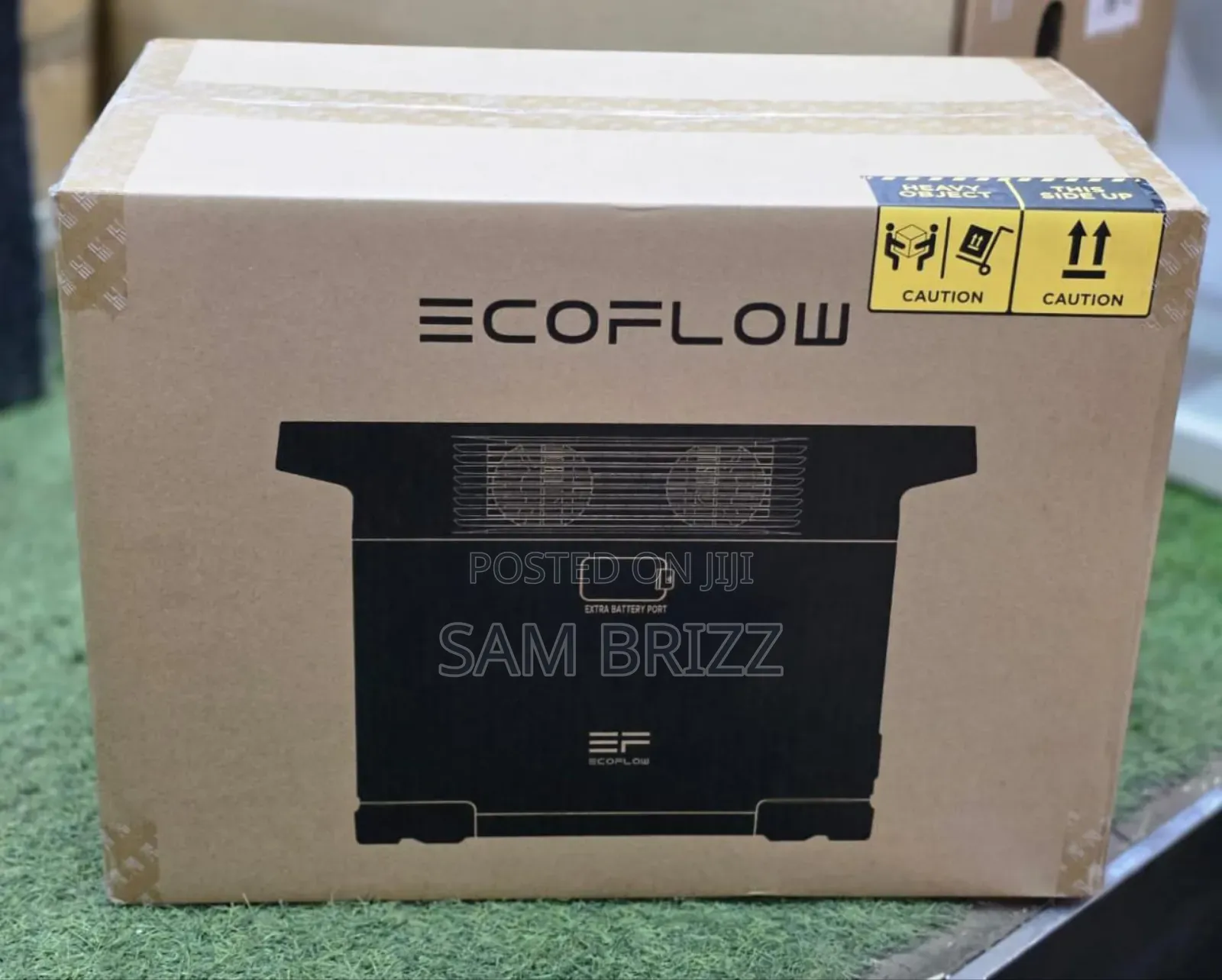 Ecoflow Delta 2