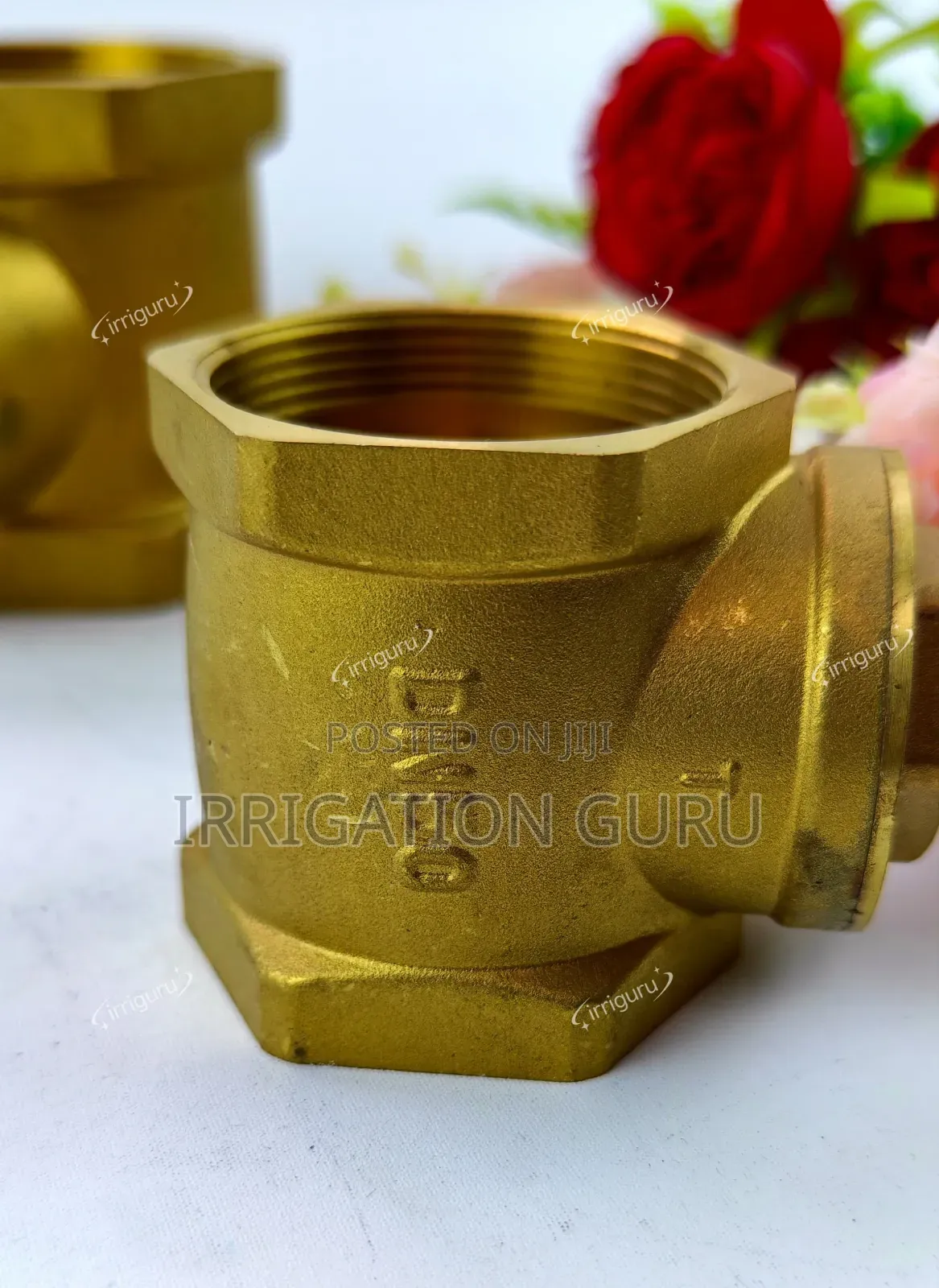 Threaded Brass Check Valve 63 Mm