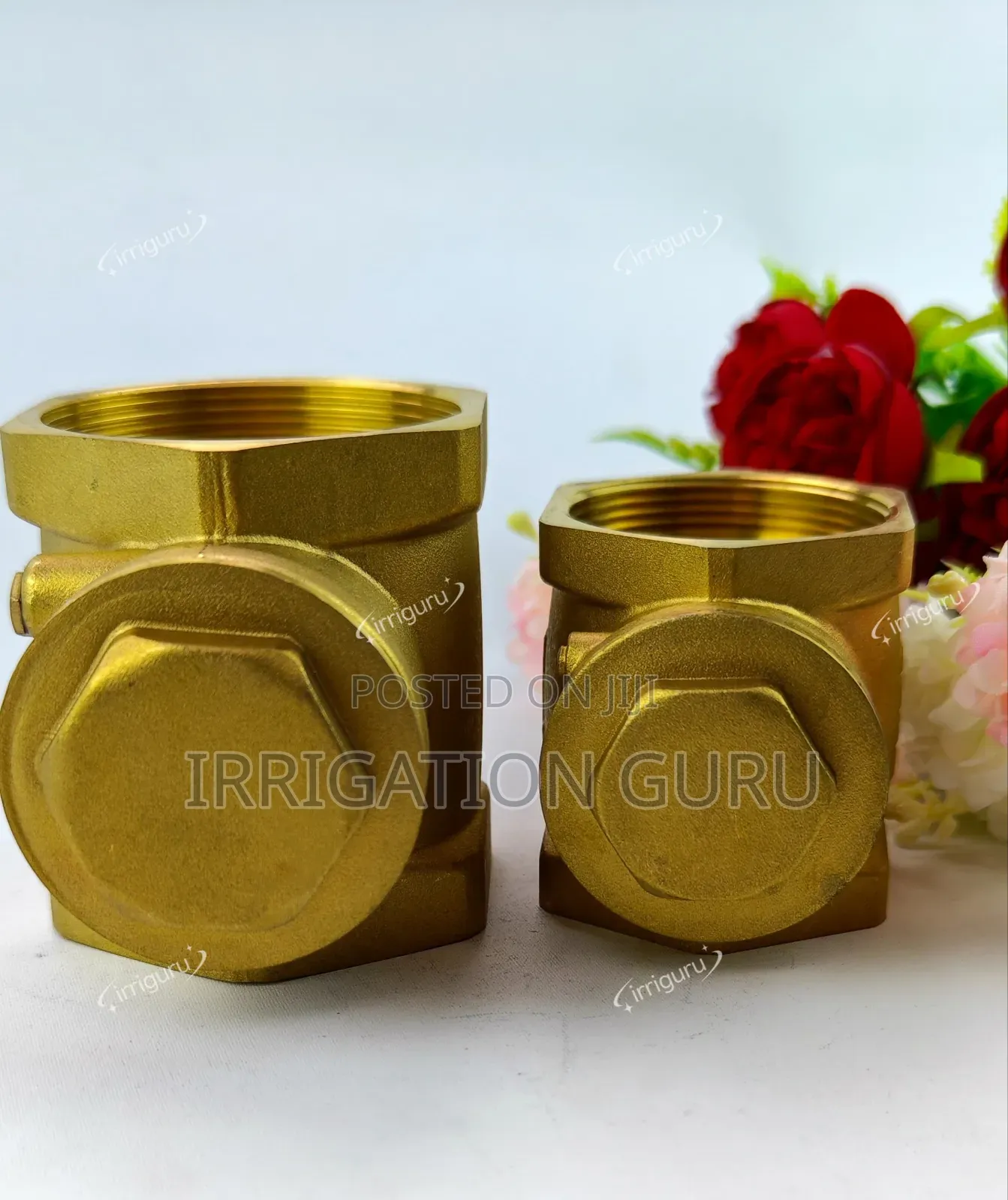 Brass Inline Non-Return Valve