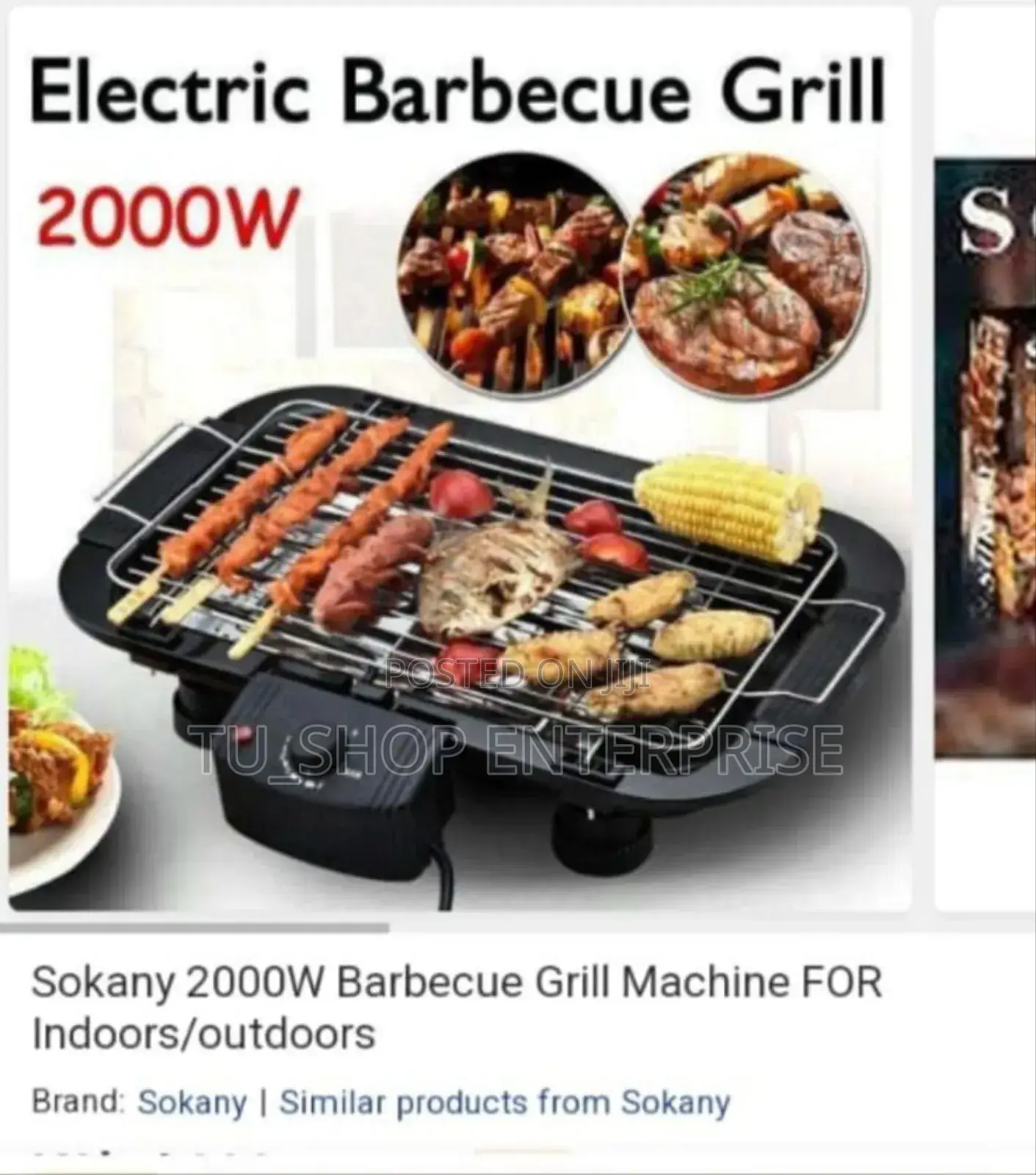 Electric Barbecue Grill