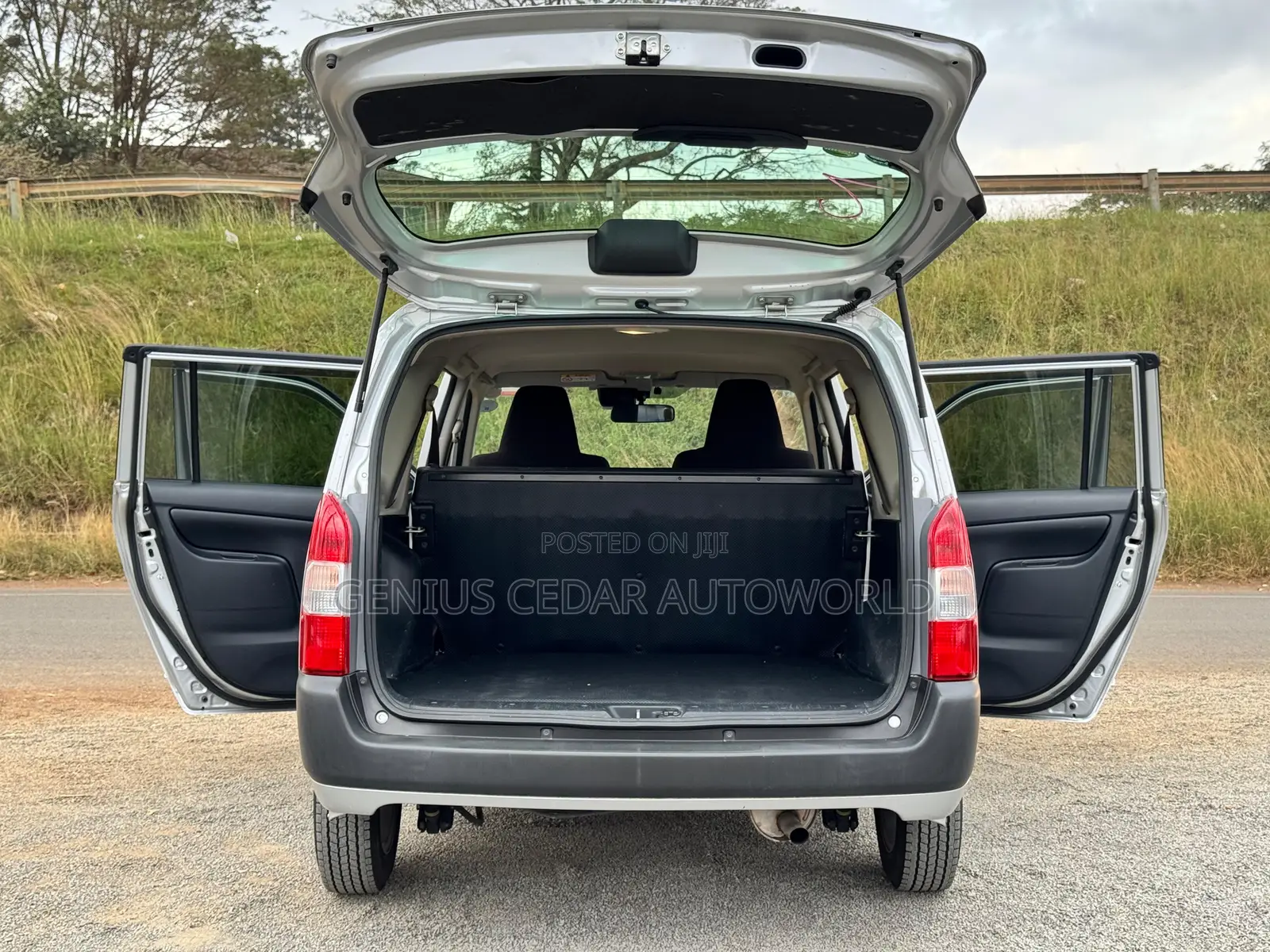 Toyota Probox 2018 Silver