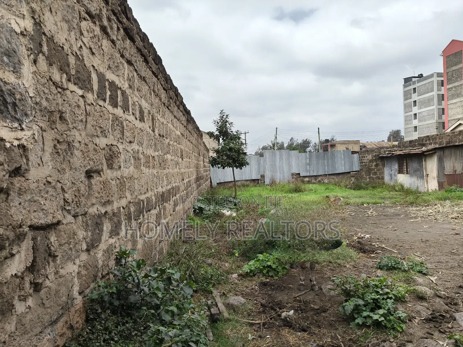 Commercial Eighth Acre Plot in Ngong Zambia 3rd Row Ngong Rd
