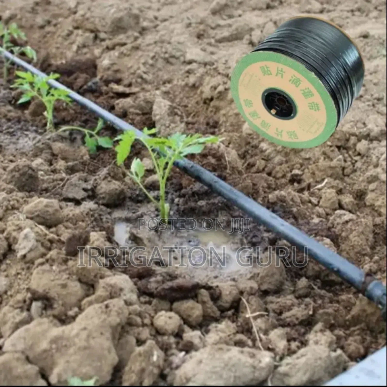 Drip Line Pipe 500m