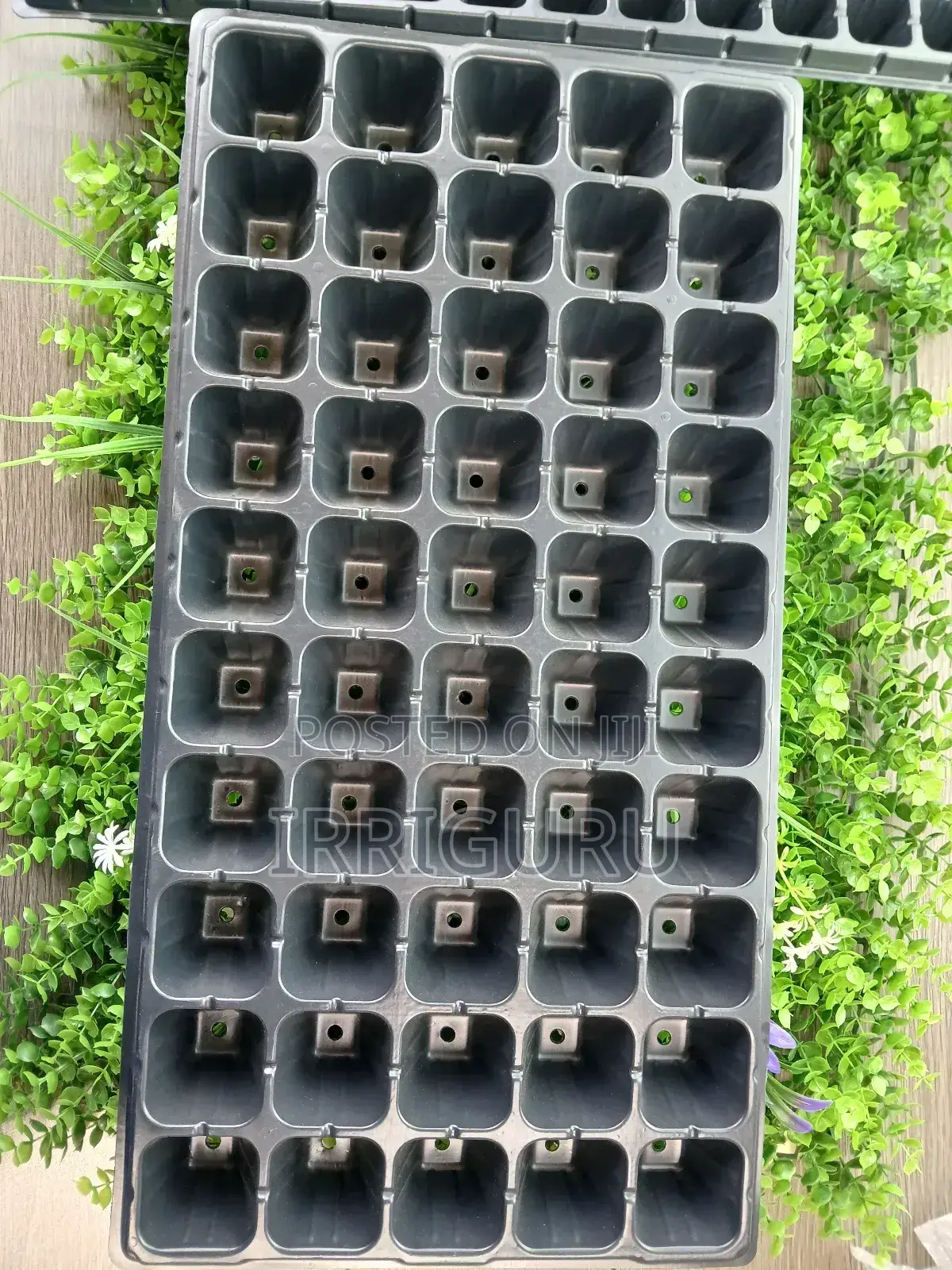 Seed Planters