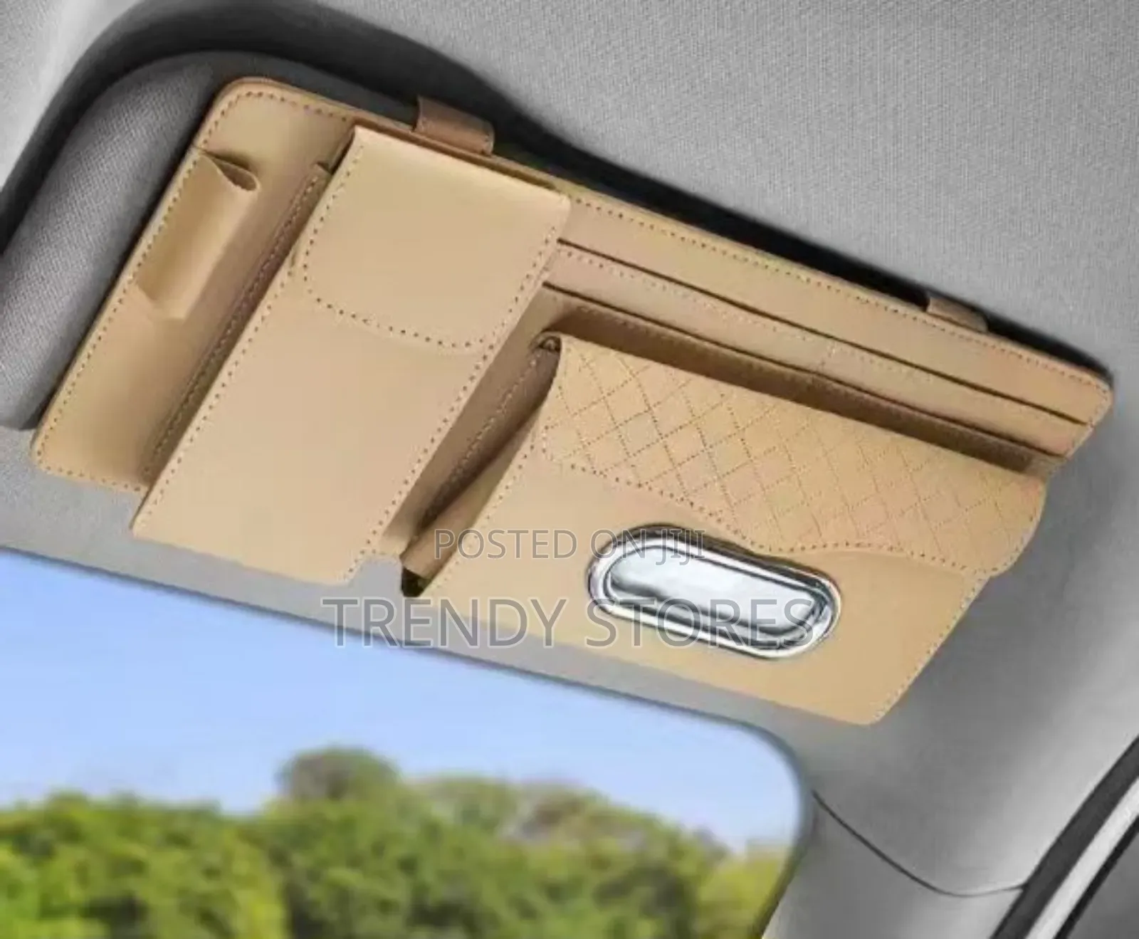 Sun Visor Organizer