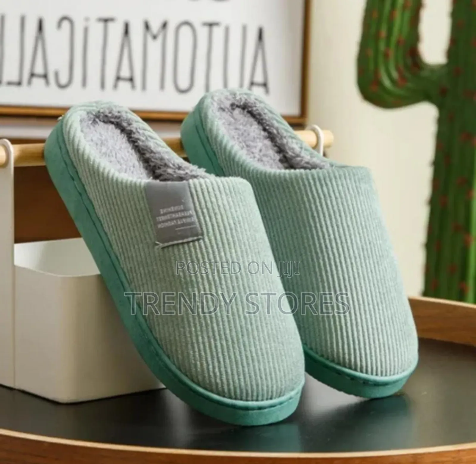 Indoor Shoes