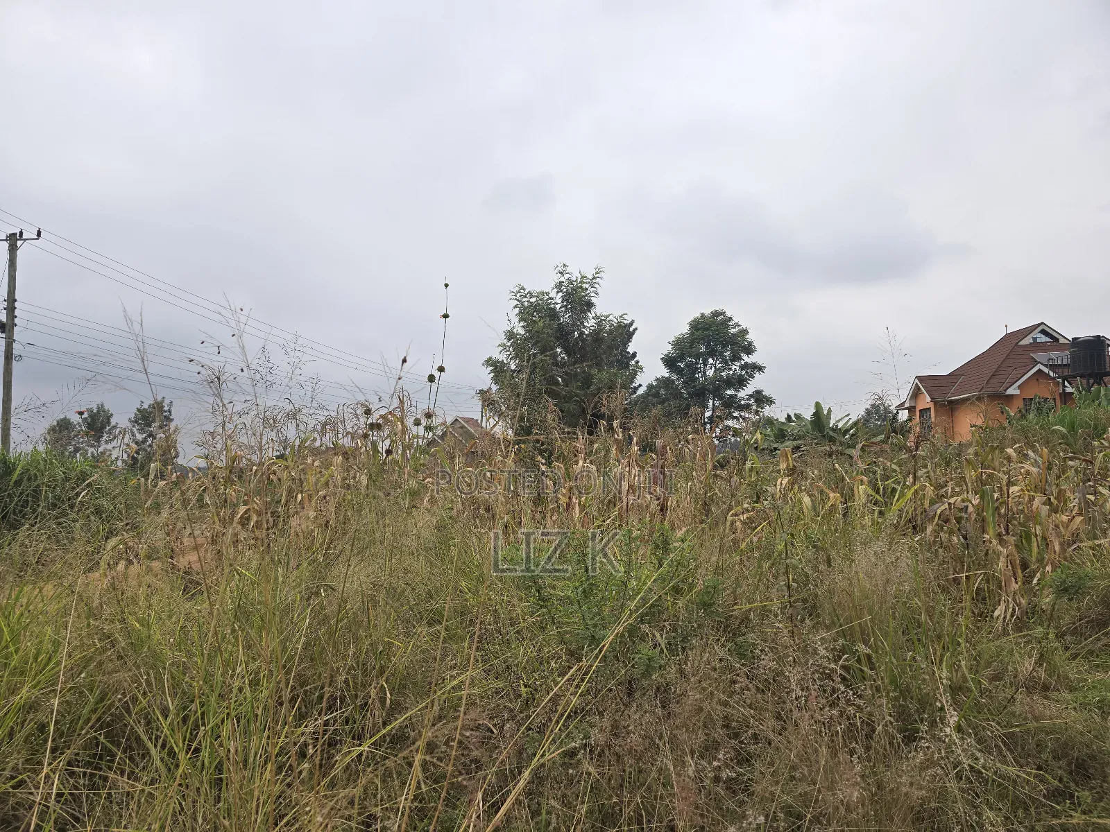 Dam Ridge Mugutha 50x100 Plots