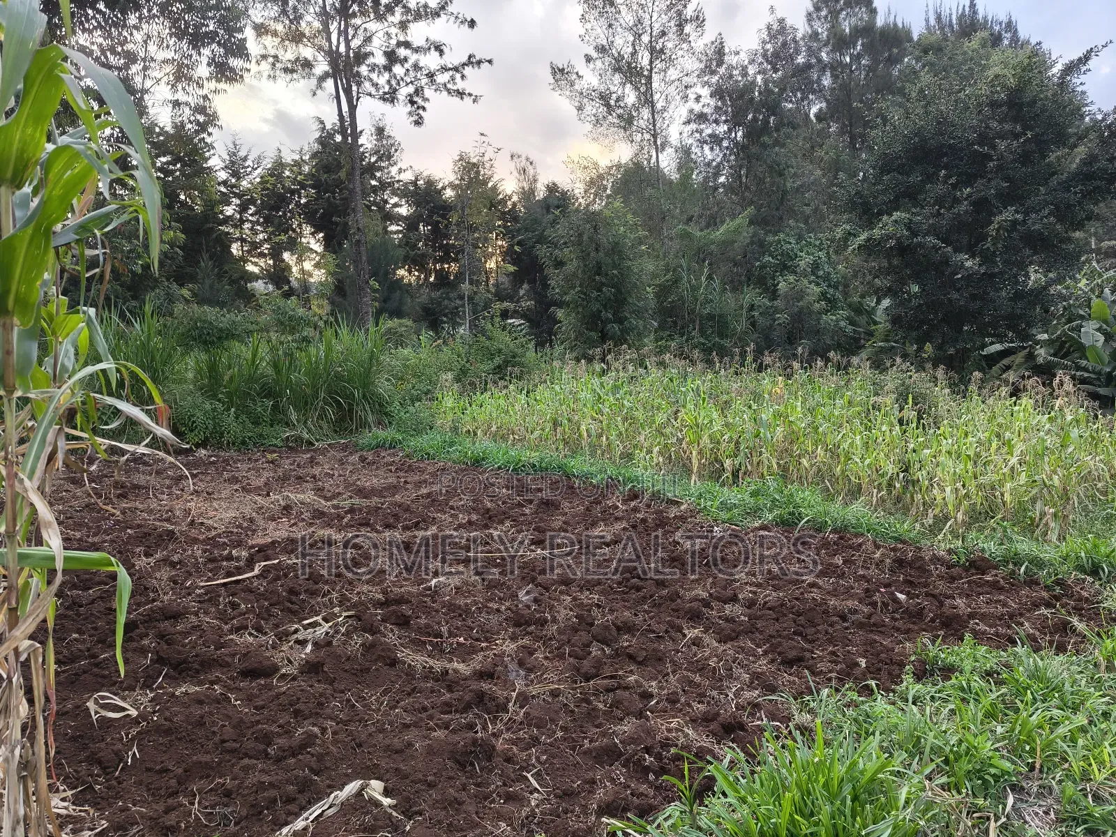 Eighth Acre Plot in Ngong, Along Kahara Road. Red Soil